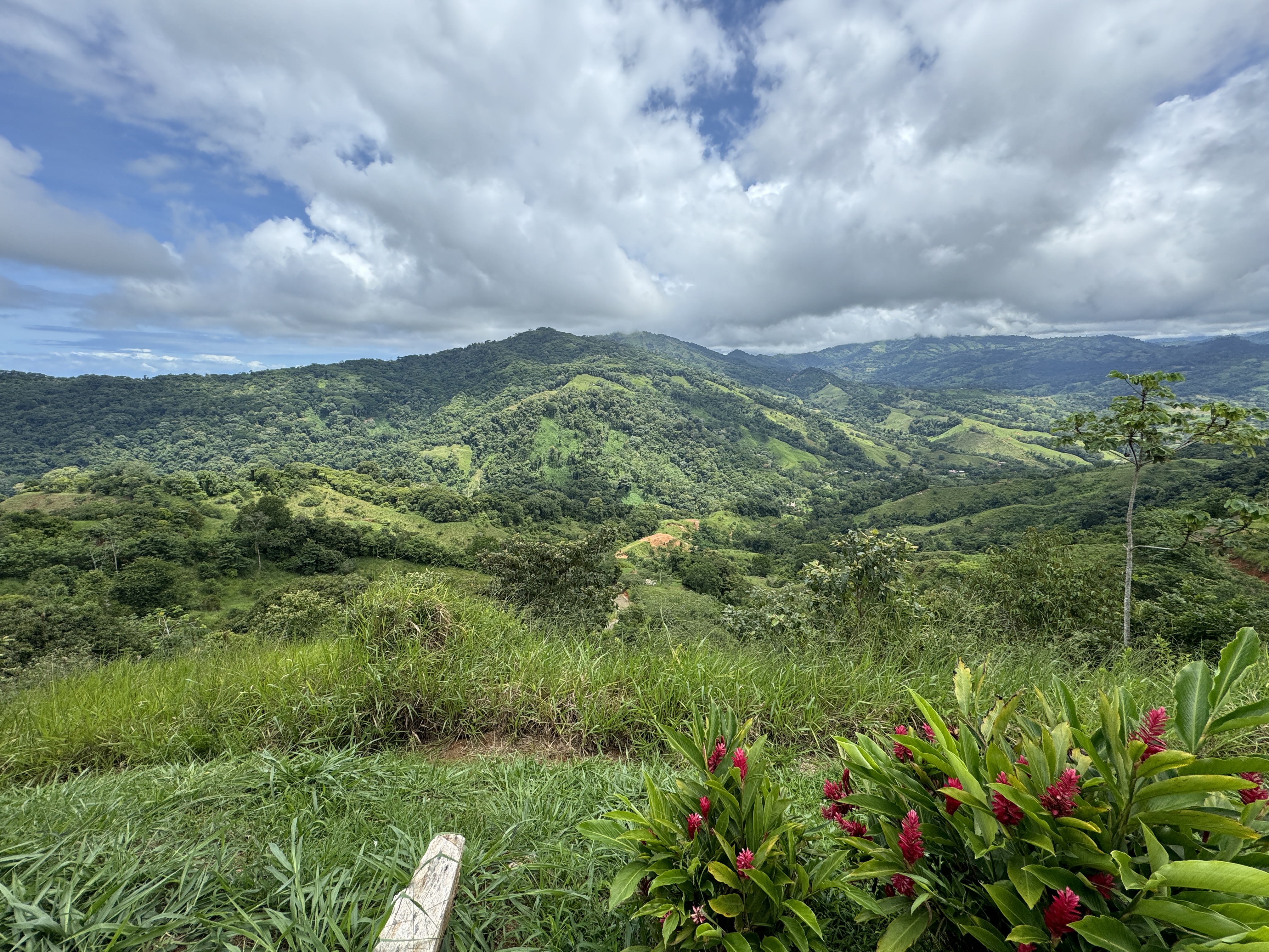 0 bed Land For Sale in Dominical, Puntarenas - thumb 16