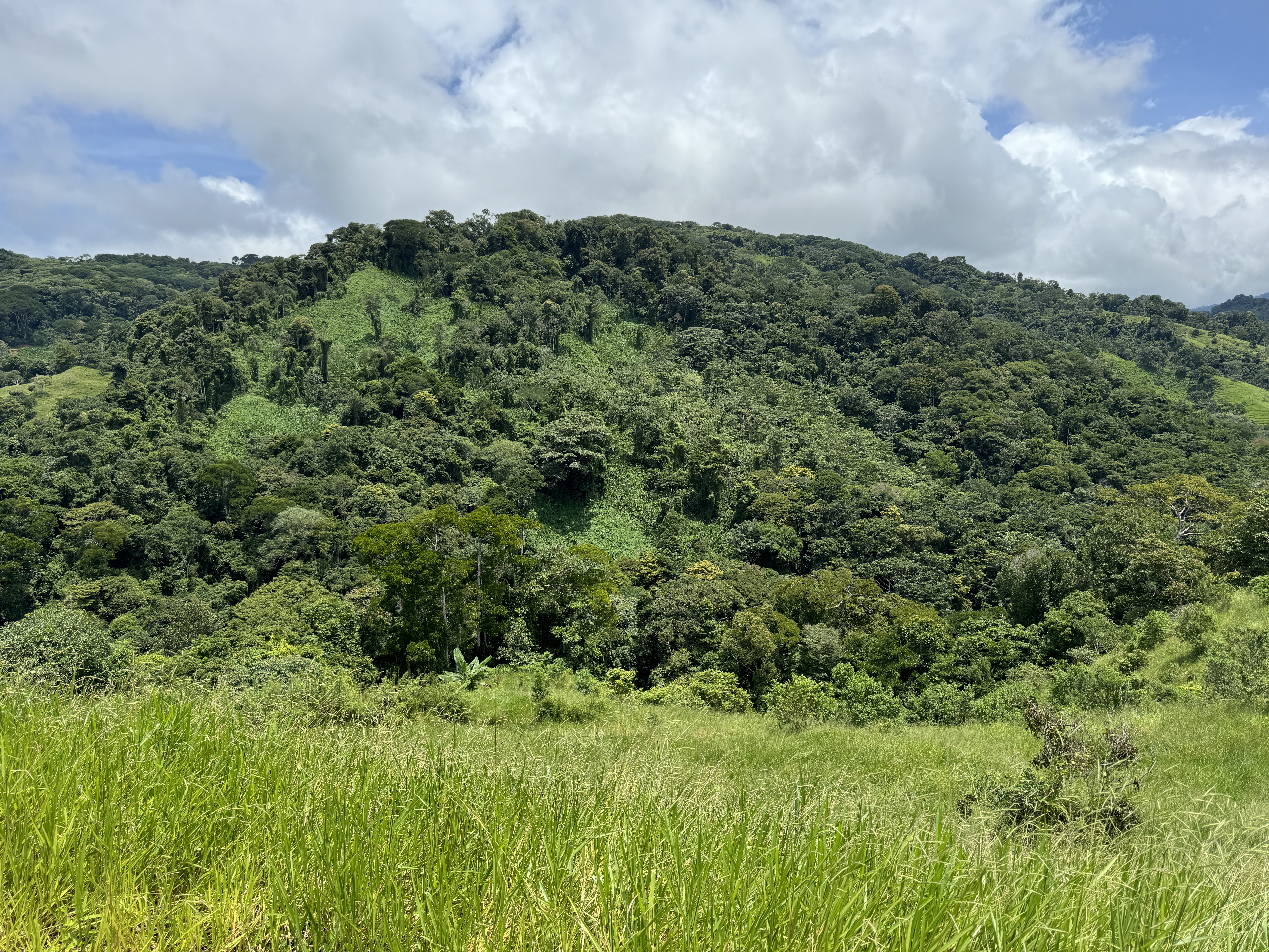 0 bed Land For Sale in Dominical, Puntarenas - thumb 27
