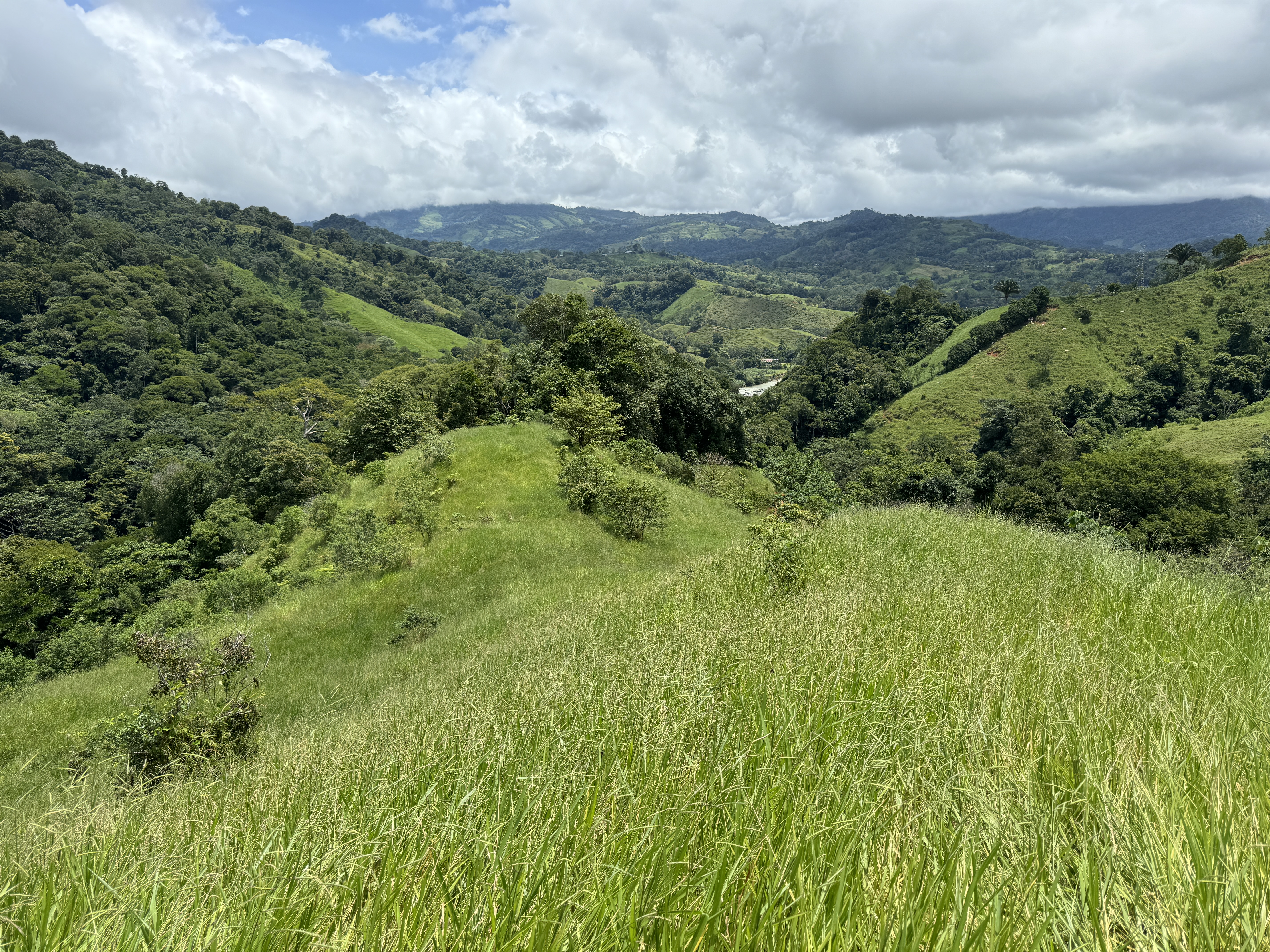 0 bed Land For Sale in Dominical, Puntarenas - thumb 25