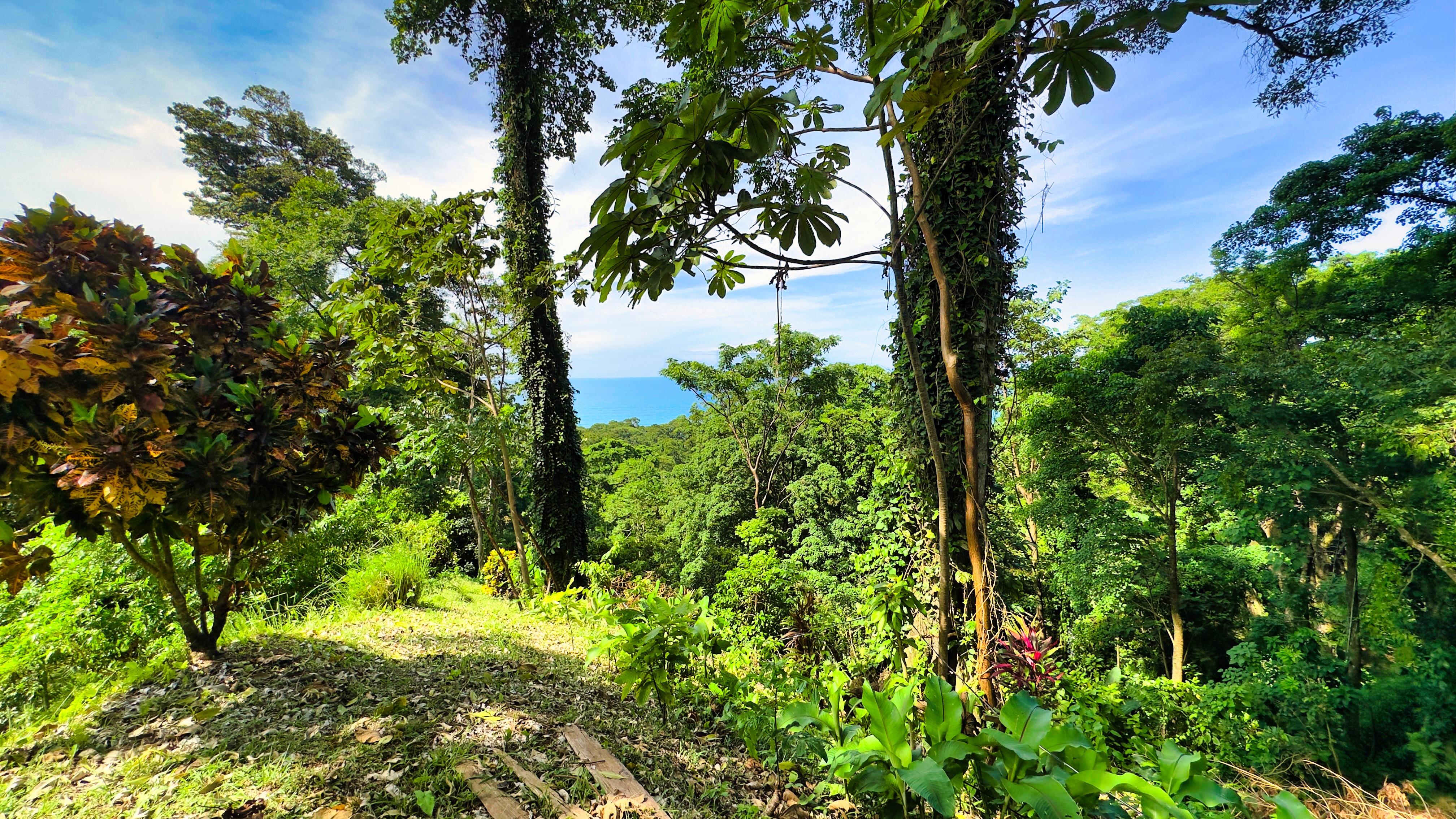0 bed Land For Sale in Puerto Viejo, Limón - thumb 4