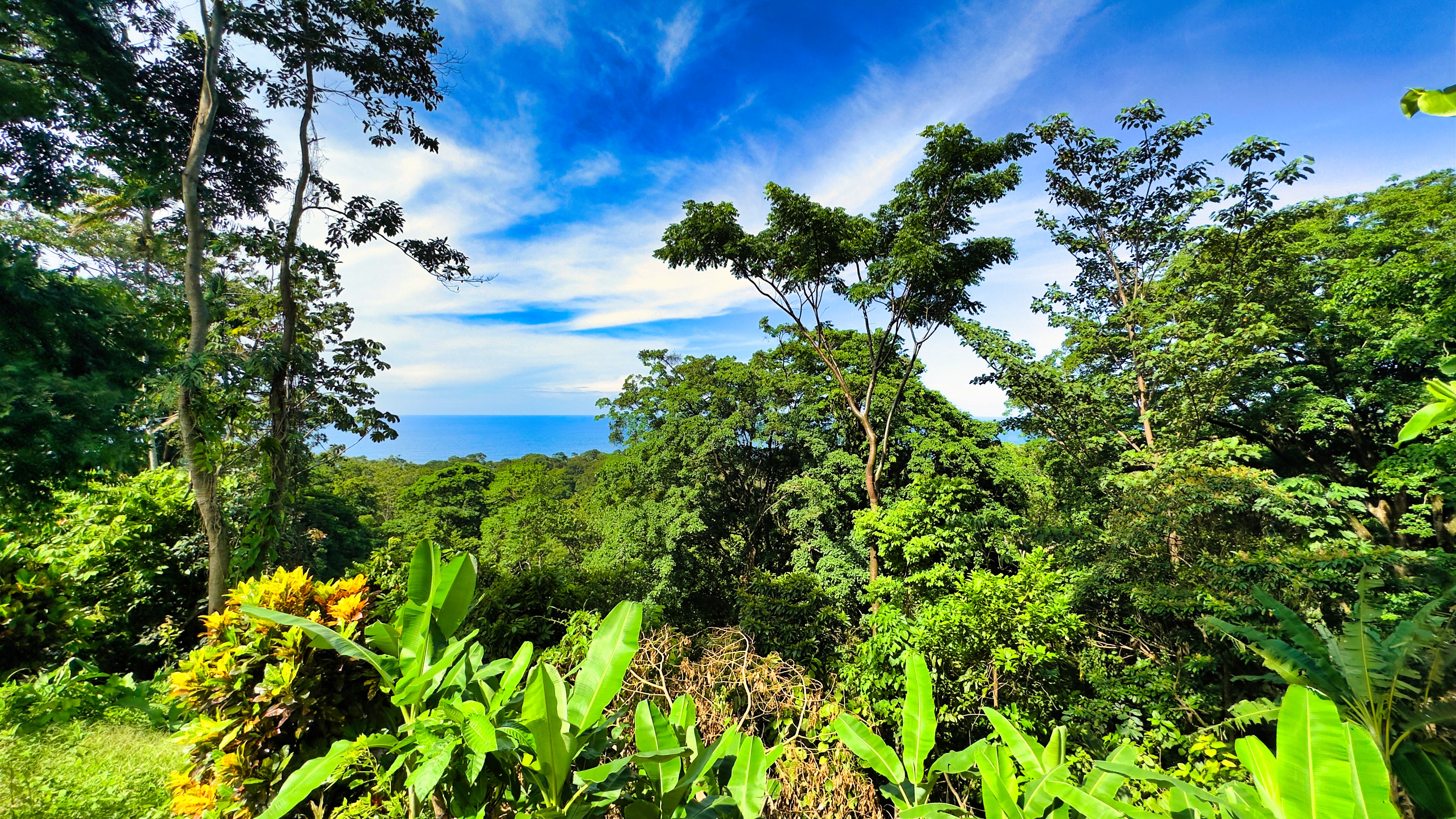 0 bed Land For Sale in Puerto Viejo, Limón - thumb 3