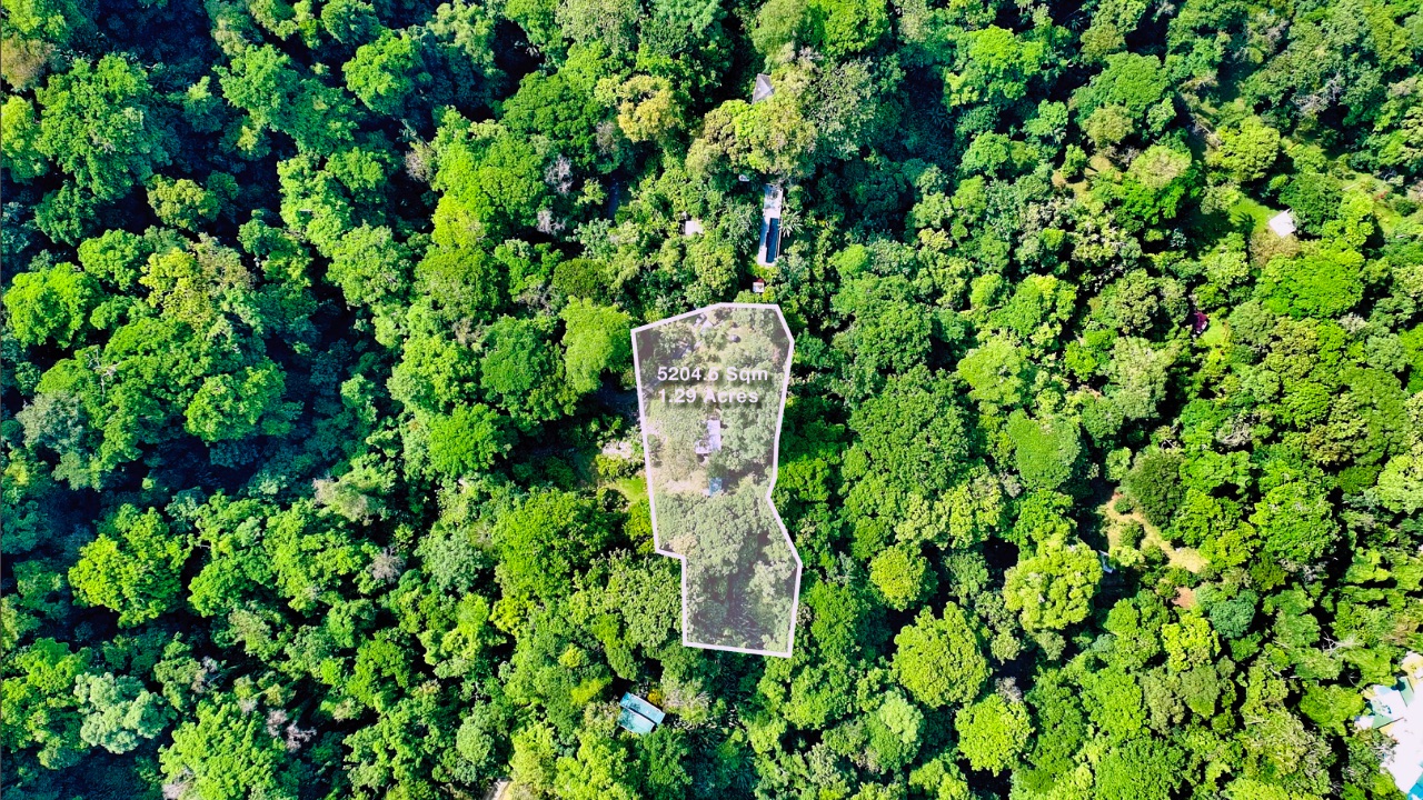 0 bed Land For Sale in Puerto Viejo, Limón - thumb 2