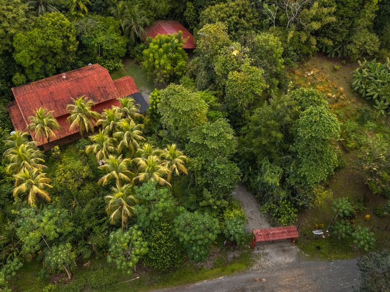5 bed Land For Sale in Puerto Jimenez, Puntarenas - 1