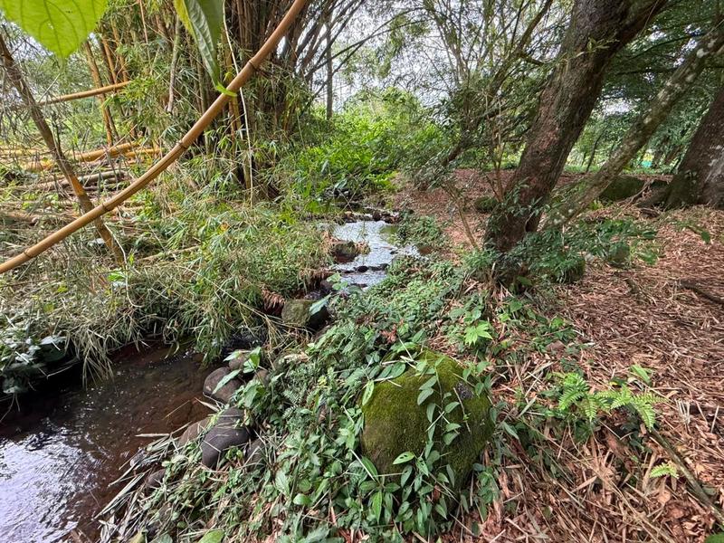 0 bed Land For Sale in La Fortuna, Alajuela - 1