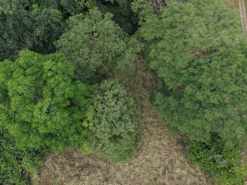 0 bed Land For Sale in Ojochal, Puntarenas - 1