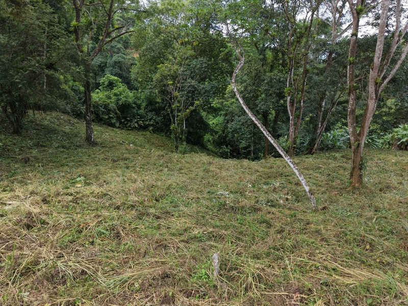 0 bed Land For Sale in Ojochal, Puntarenas - 1