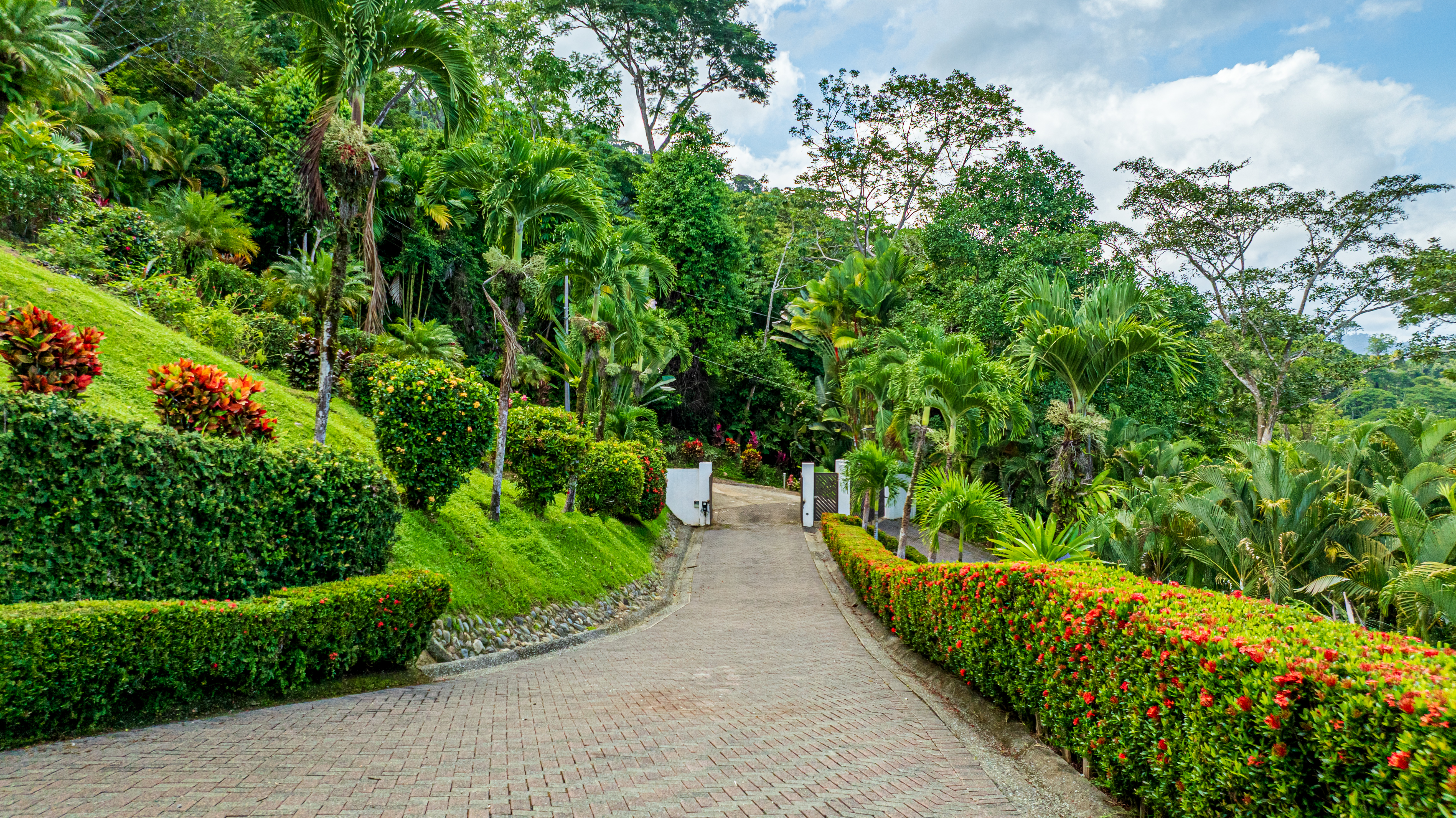 4 bed Single Family Homes For Sale in Uvita, Puntarenas - thumb 6