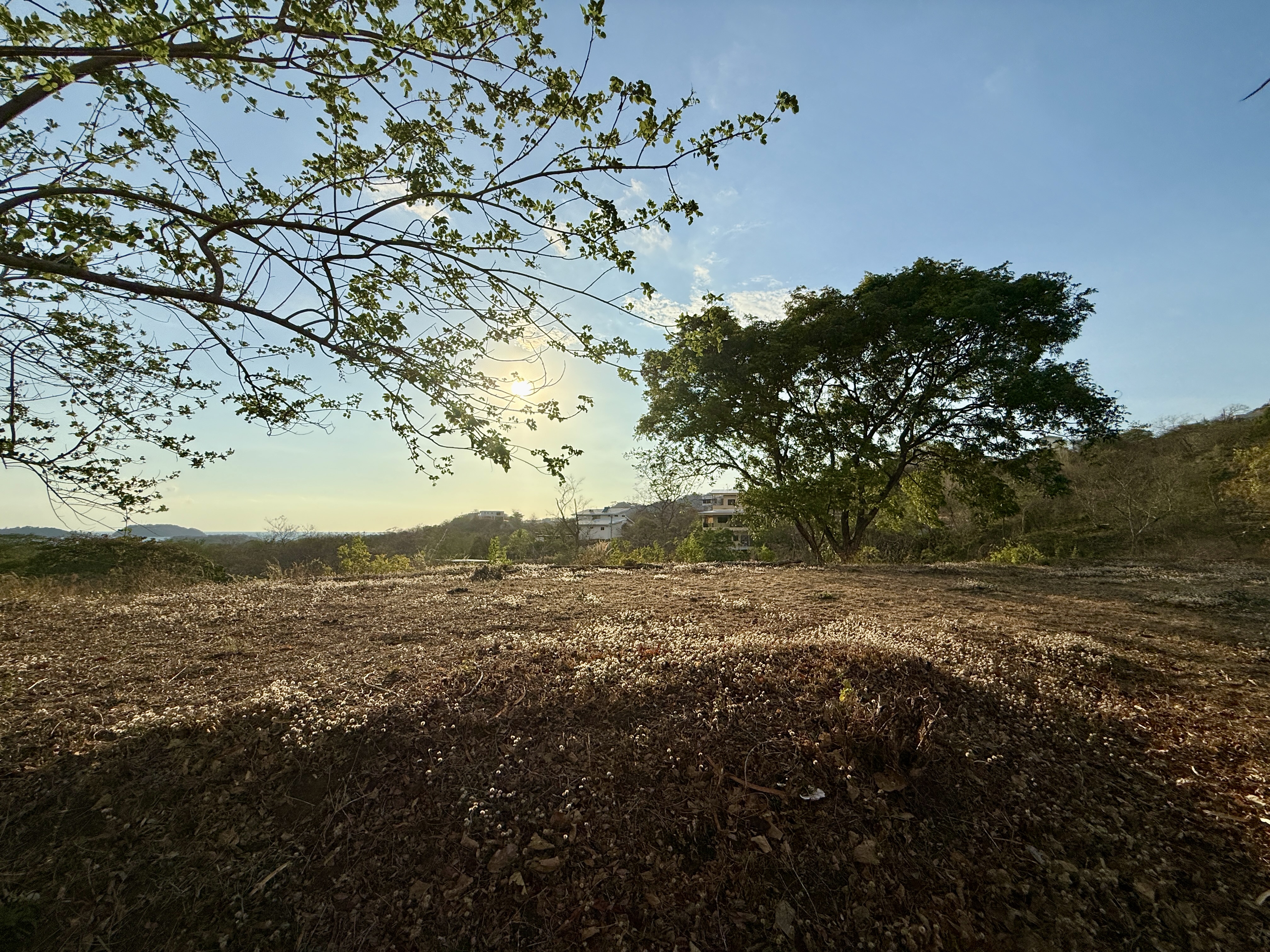 Featured property image