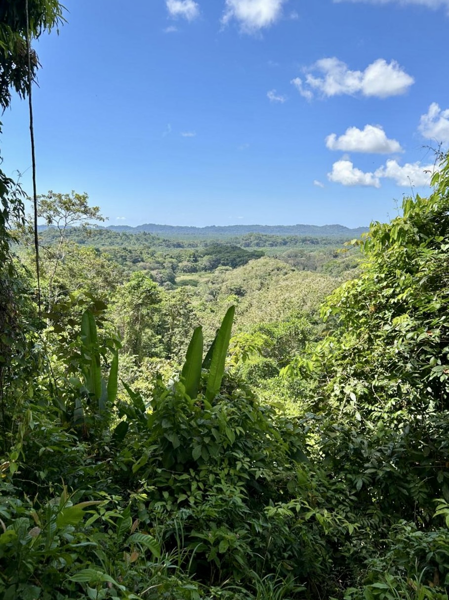 0 bed Land For Sale in Quepos, Puntarenas - thumb 1