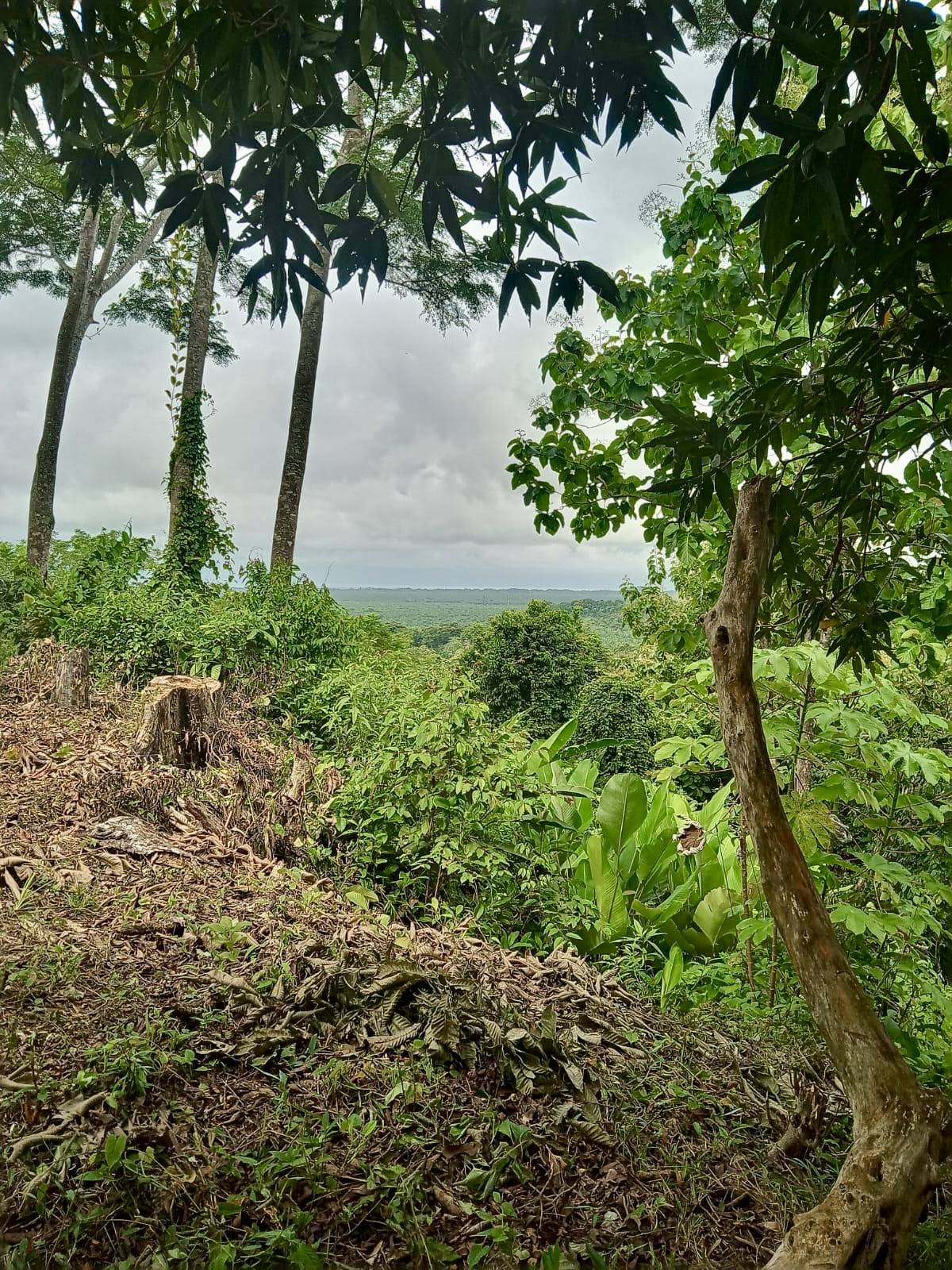 0 bed Land For Sale in Quepos, Puntarenas - thumb 2