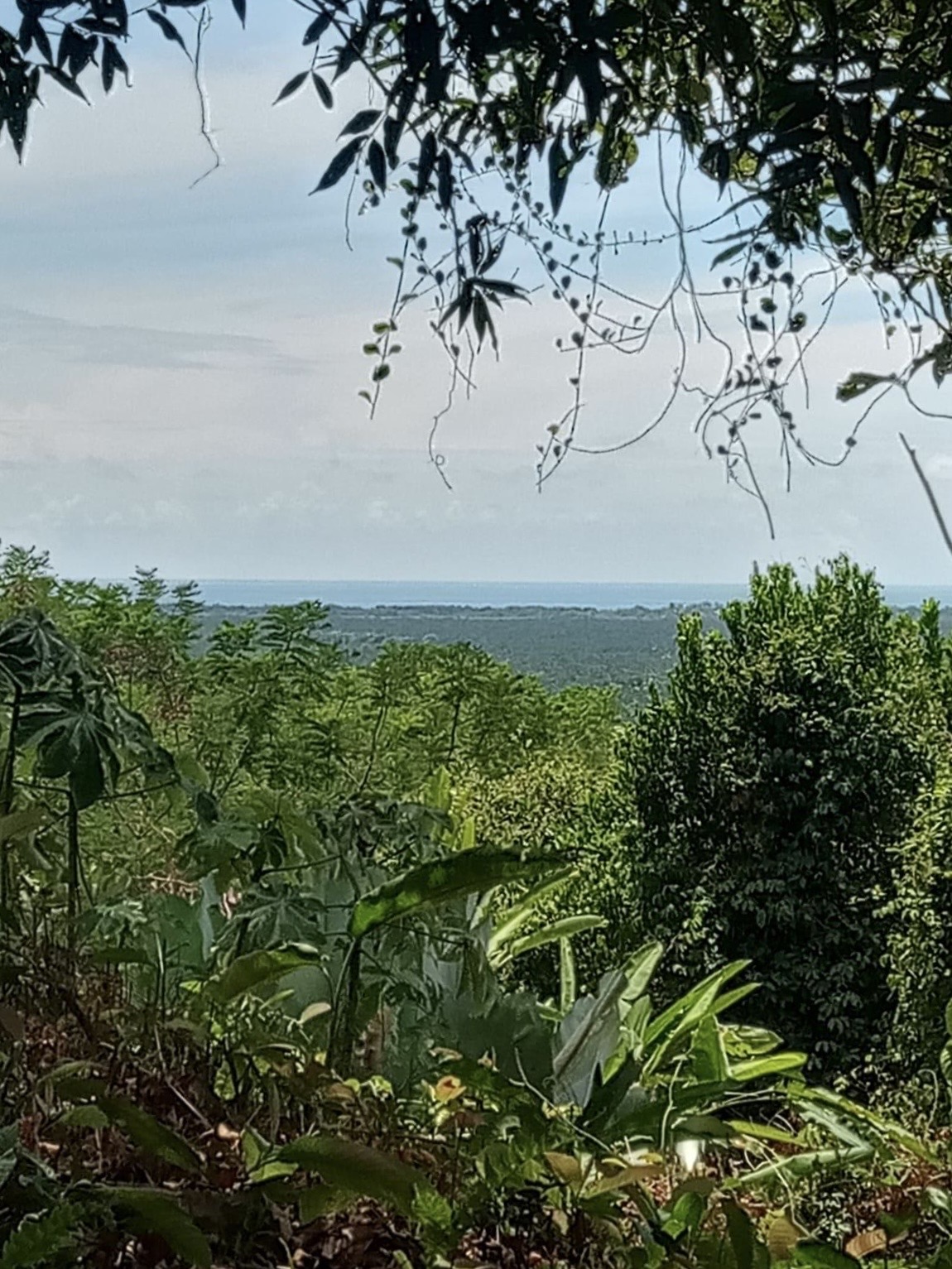 0 bed Land For Sale in Quepos, Puntarenas - thumb 4