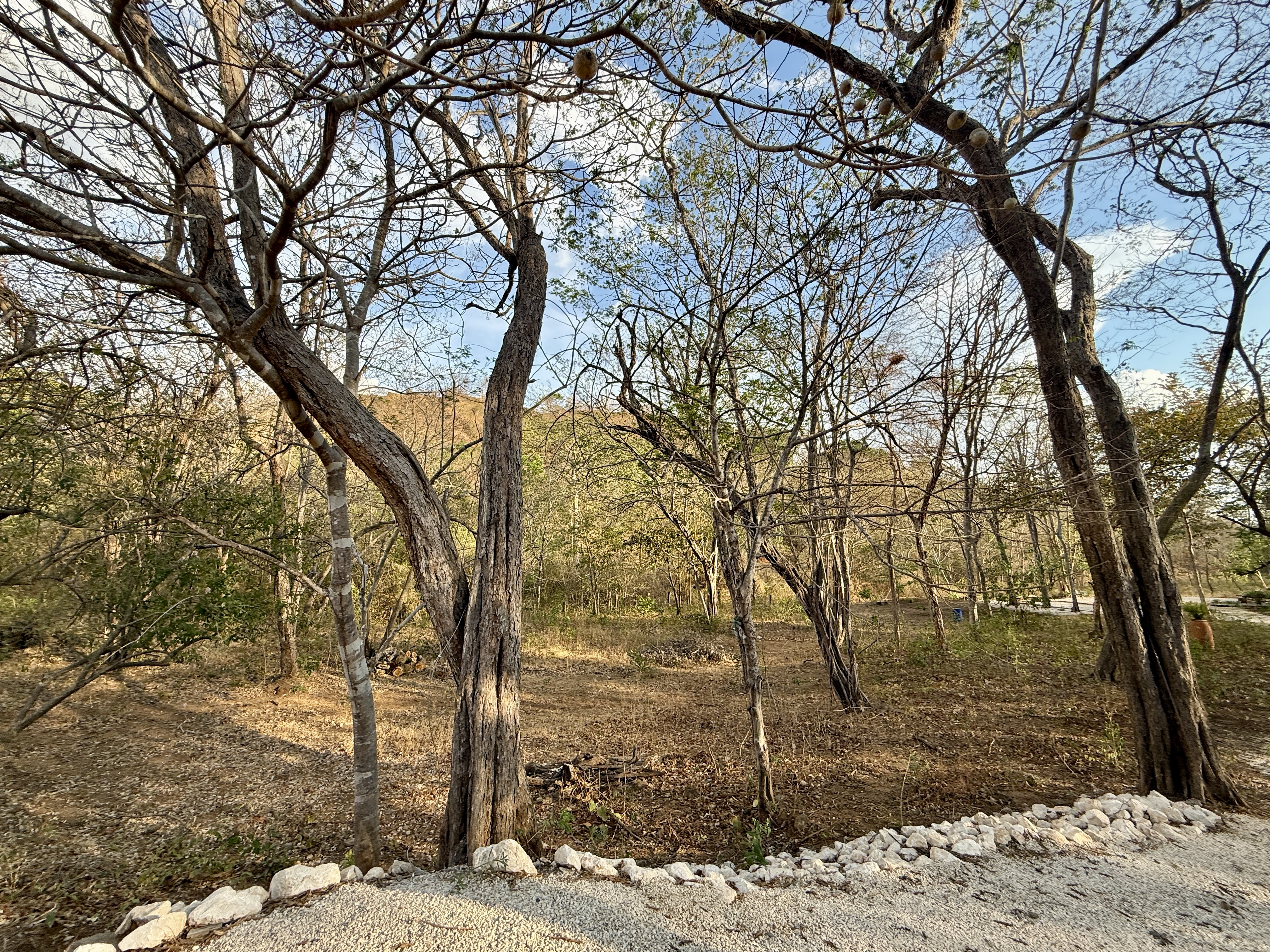 0 bed Land For Sale in Playa Potrero, Guanacaste - thumb 6