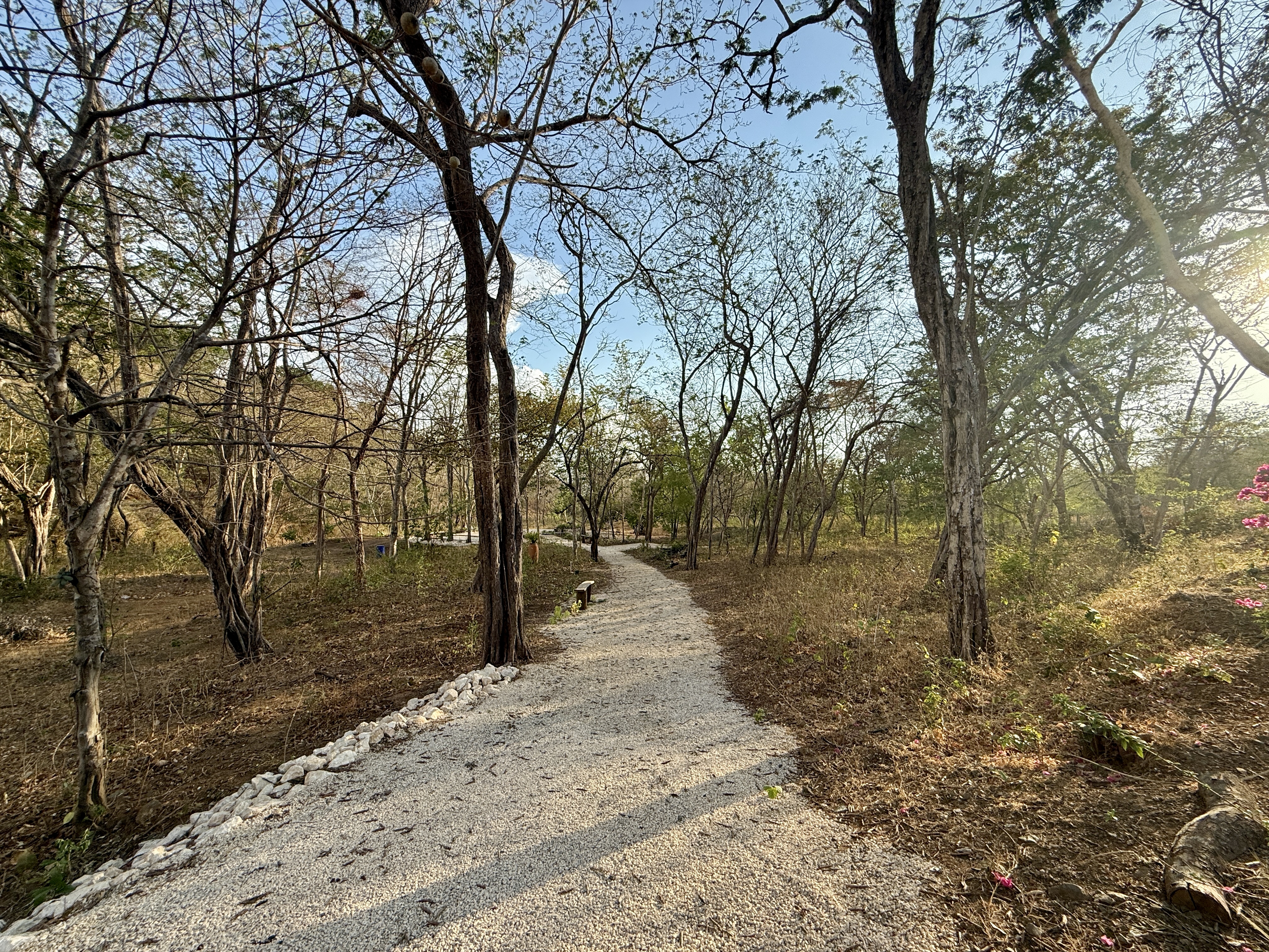 0 bed Land For Sale in Playa Potrero, Guanacaste - thumb 9