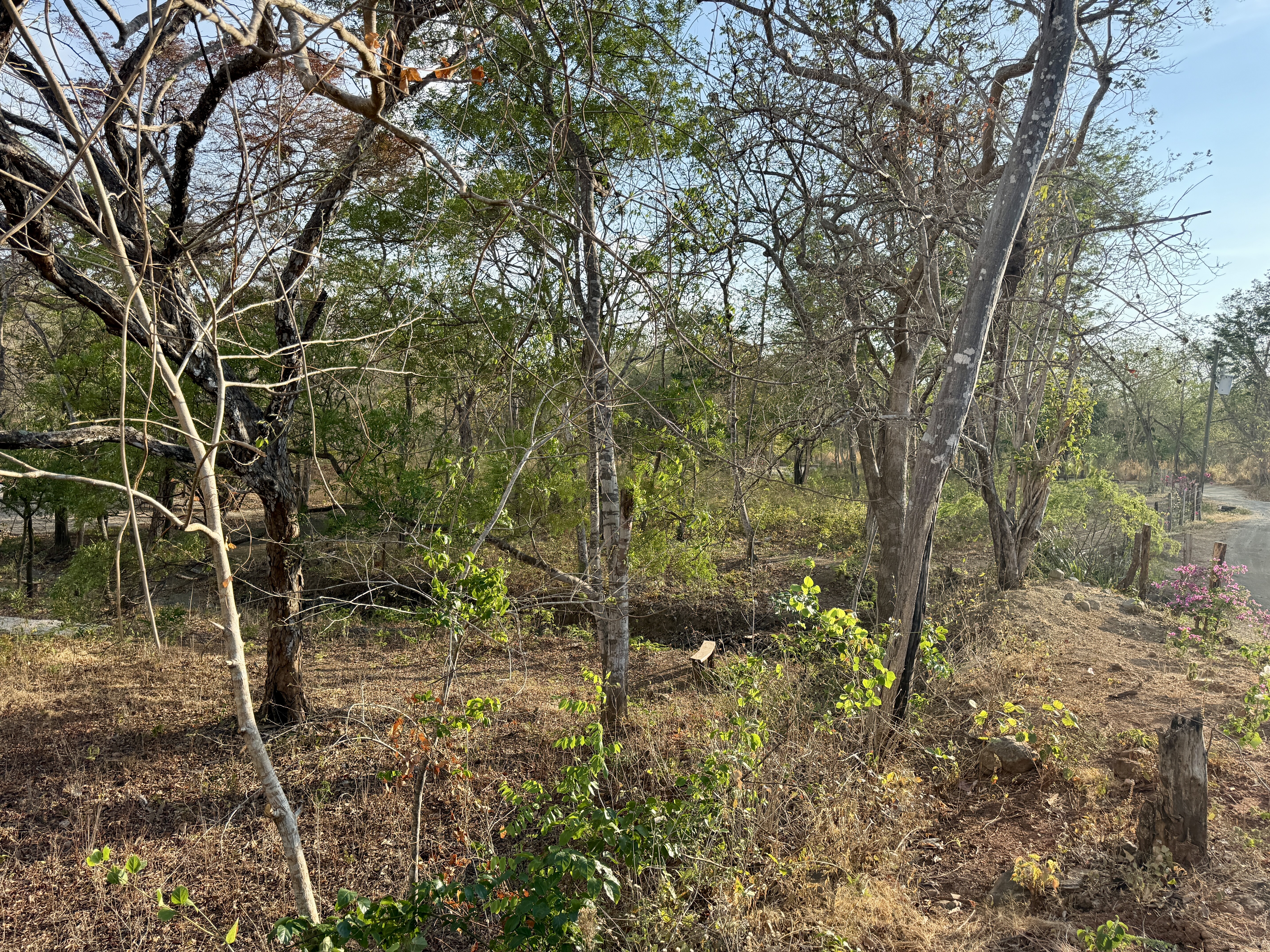 0 bed Land For Sale in Playa Potrero, Guanacaste - thumb 5