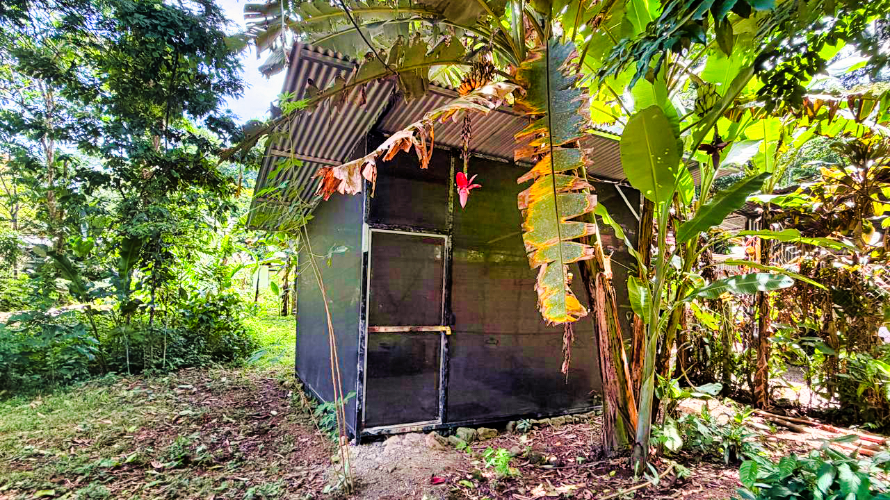 2 bed Single Family Homes For Sale in Puerto Viejo, Limón - thumb 17