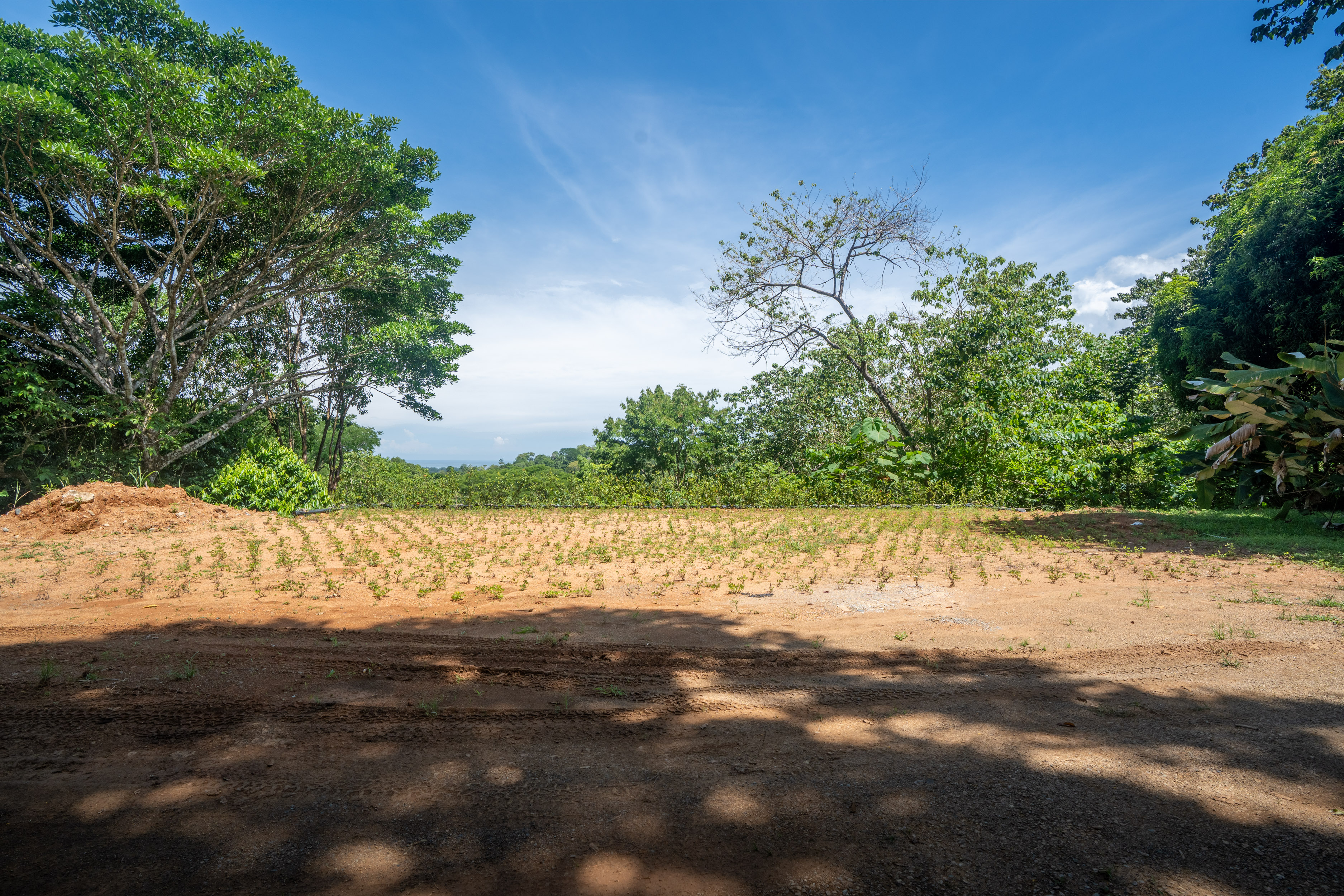 2 bed Single Family Homes For Sale in Uvita, Puntarenas - thumb 24