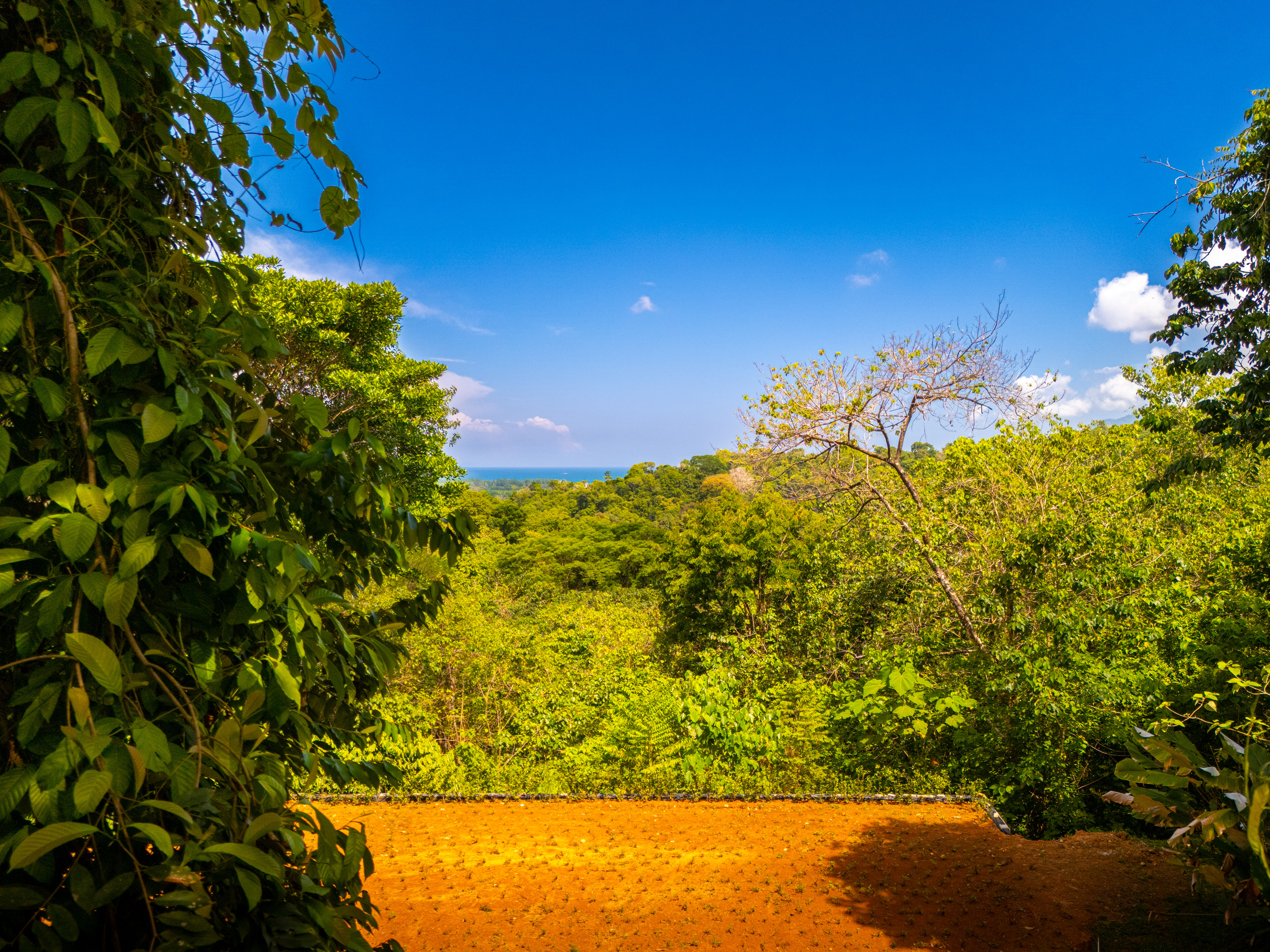 2 bed Single Family Homes For Sale in Uvita, Puntarenas - thumb 3