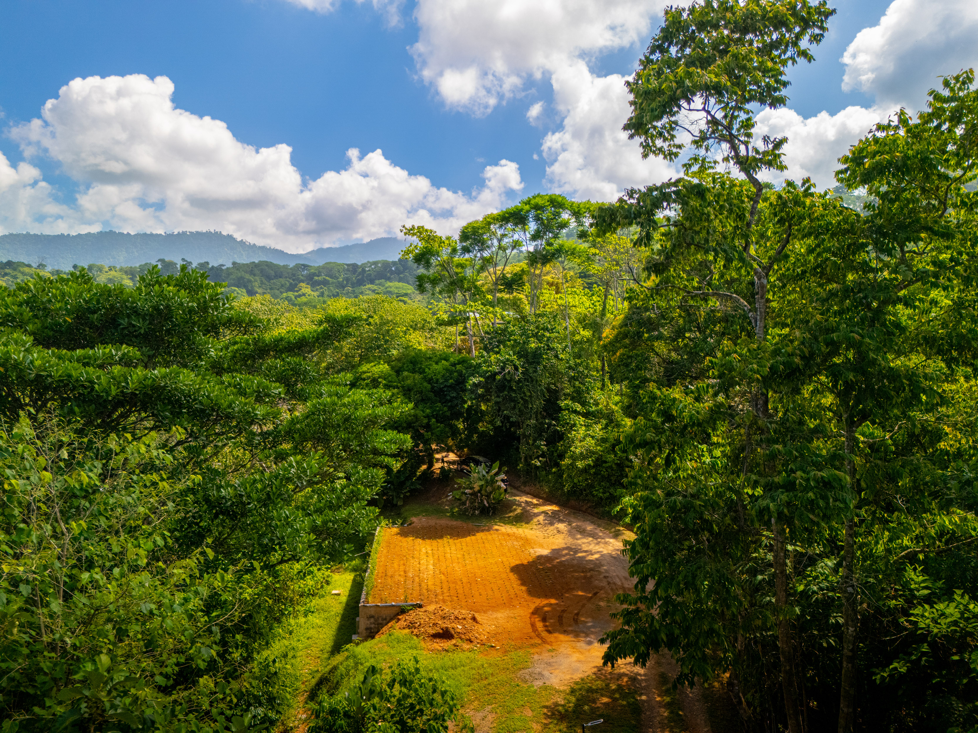 2 bed Single Family Homes For Sale in Uvita, Puntarenas - thumb 5