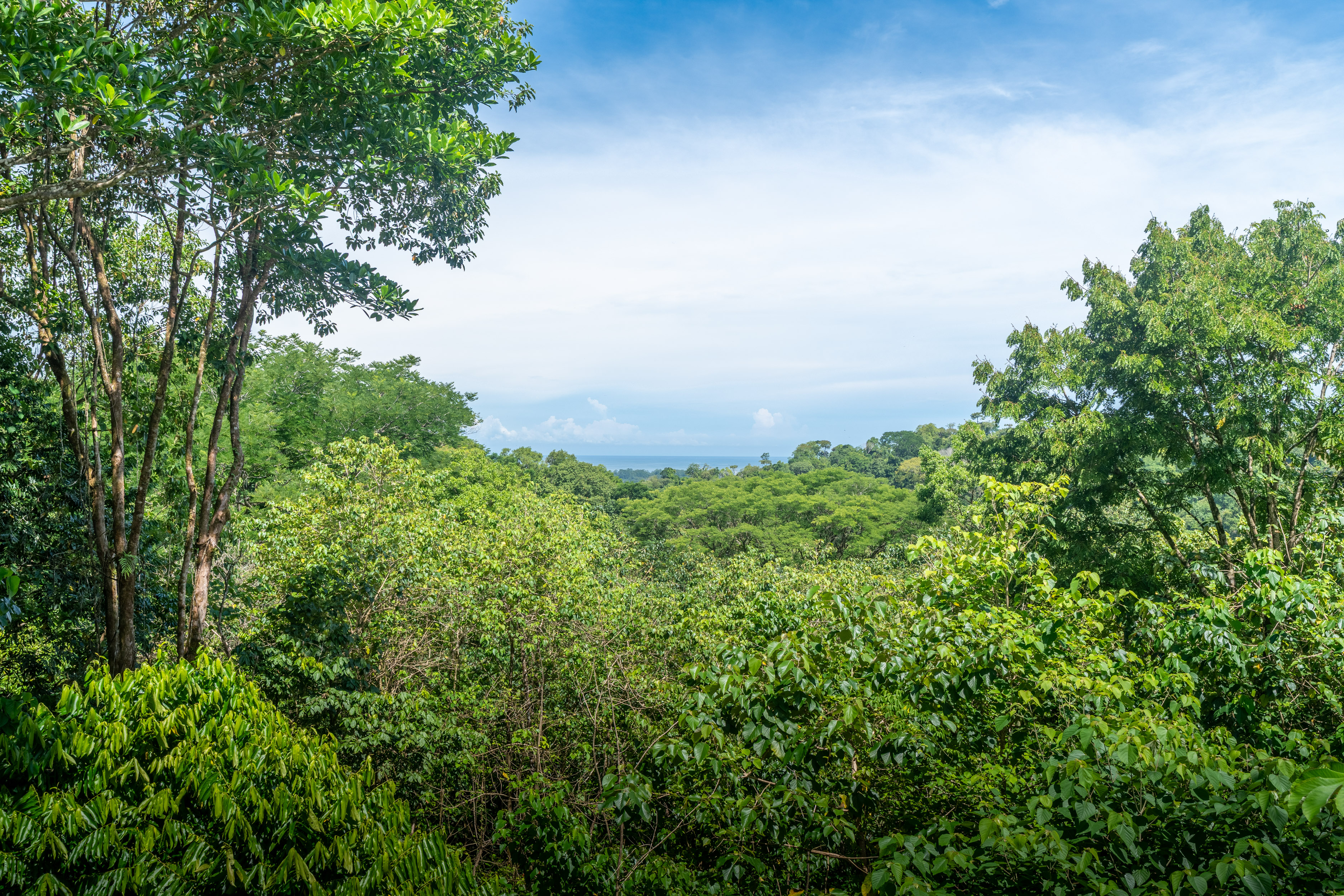 2 bed Single Family Homes For Sale in Uvita, Puntarenas - thumb 25