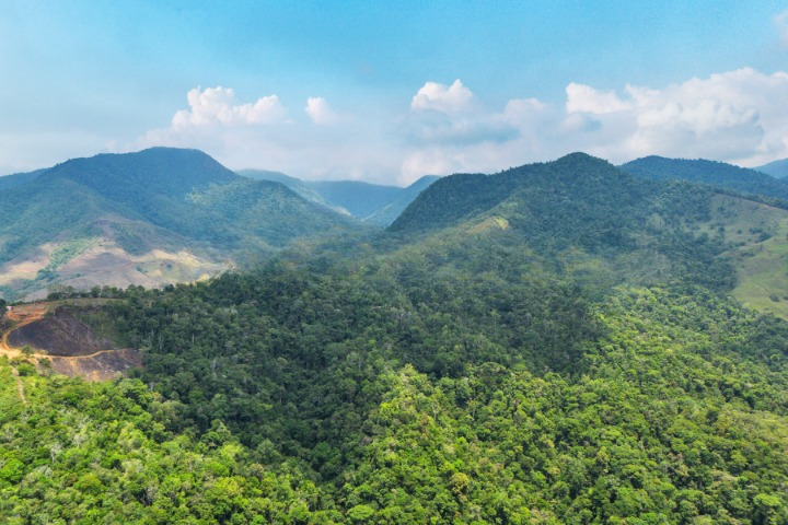 0 bed Land For Sale in Buenos Aires, Puntarenas - thumb 3