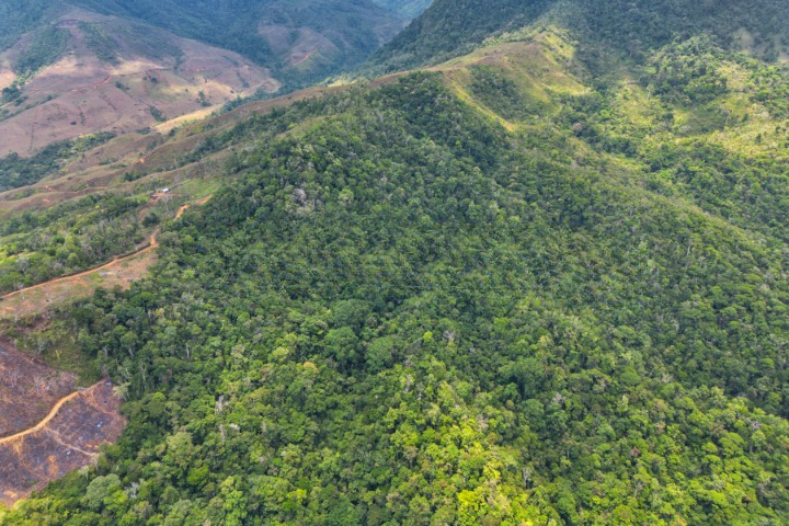 0 bed Land For Sale in Buenos Aires, Puntarenas - thumb 2
