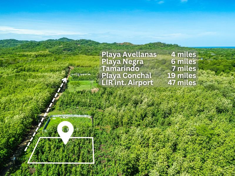 0 bed Land For Sale in Avellanas, Guanacaste - 1