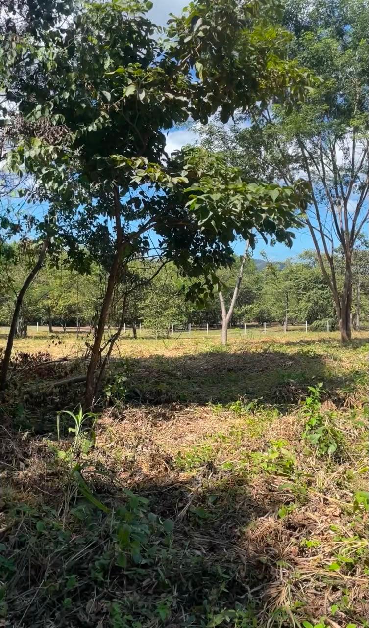 0 bed Land For Sale in Tamarindo, Guanacaste - thumb 1