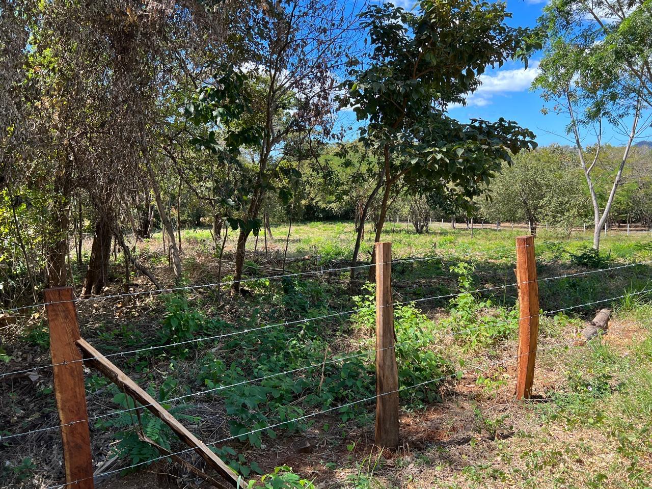 0 bed Land For Sale in Tamarindo, Guanacaste - thumb 6