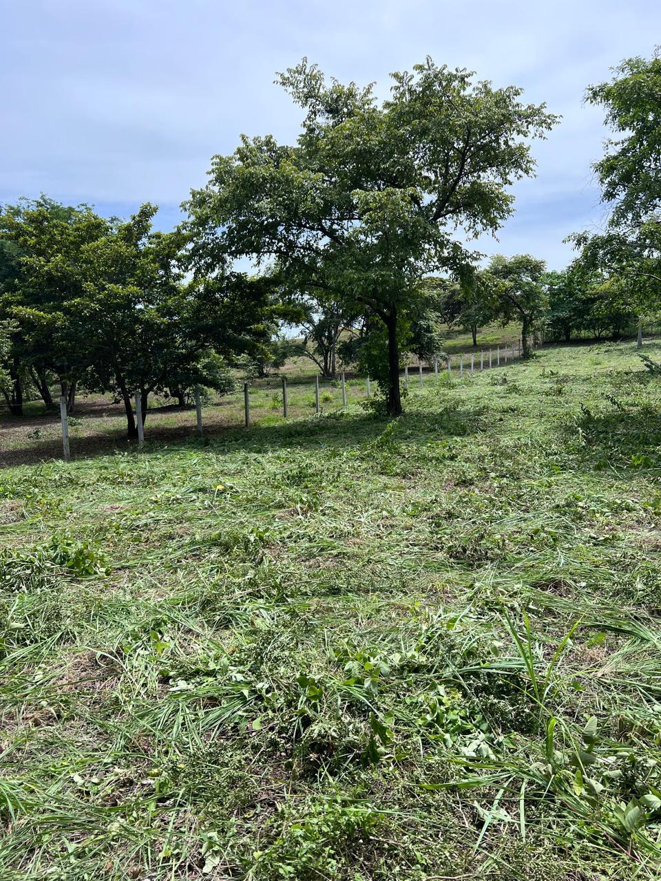 0 bed Land For Sale in Tamarindo, Guanacaste - thumb 11