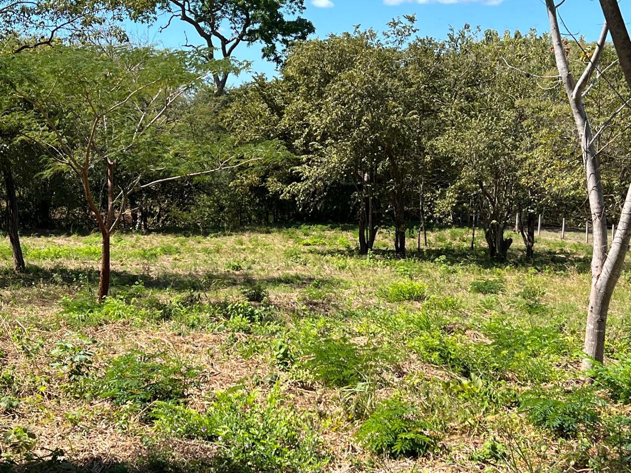 0 bed Land For Sale in Tamarindo, Guanacaste - thumb 5