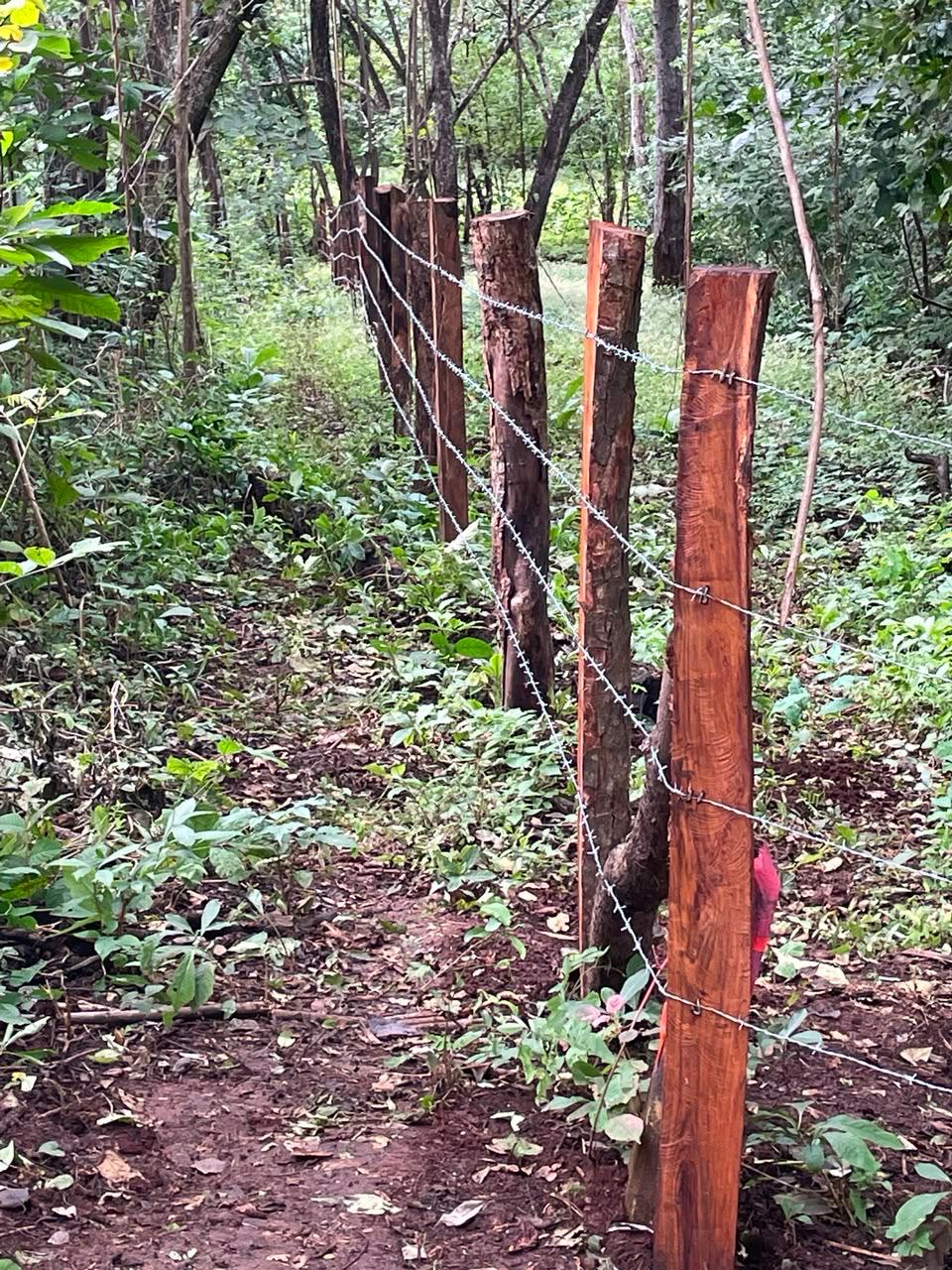 0 bed Land For Sale in Tamarindo, Guanacaste - thumb 16