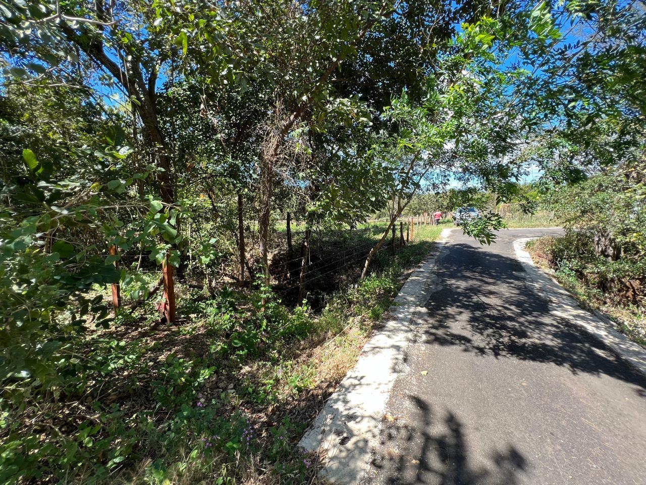 0 bed Land For Sale in Tamarindo, Guanacaste - thumb 4