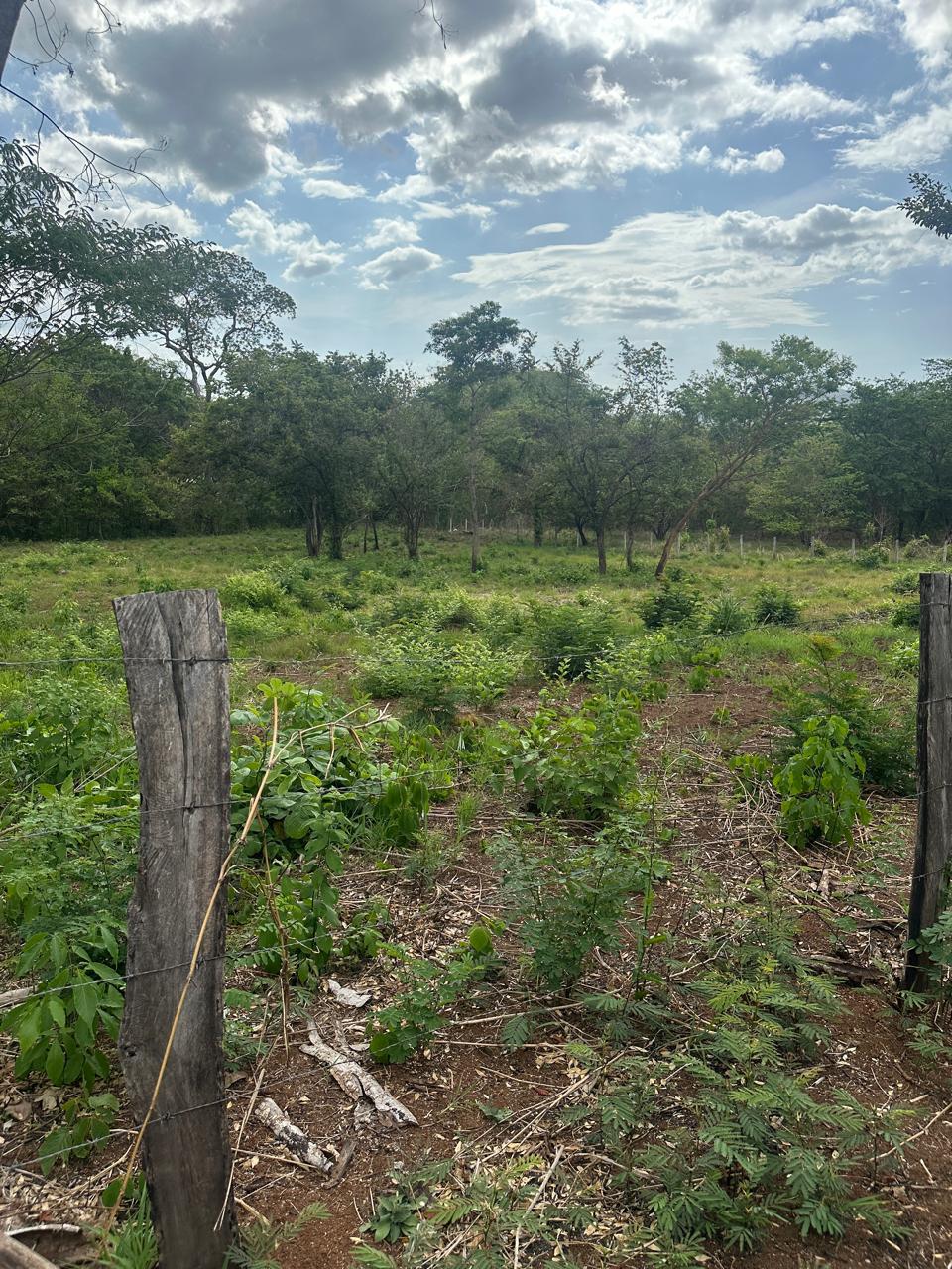 0 bed Land For Sale in Tamarindo, Guanacaste - thumb 10