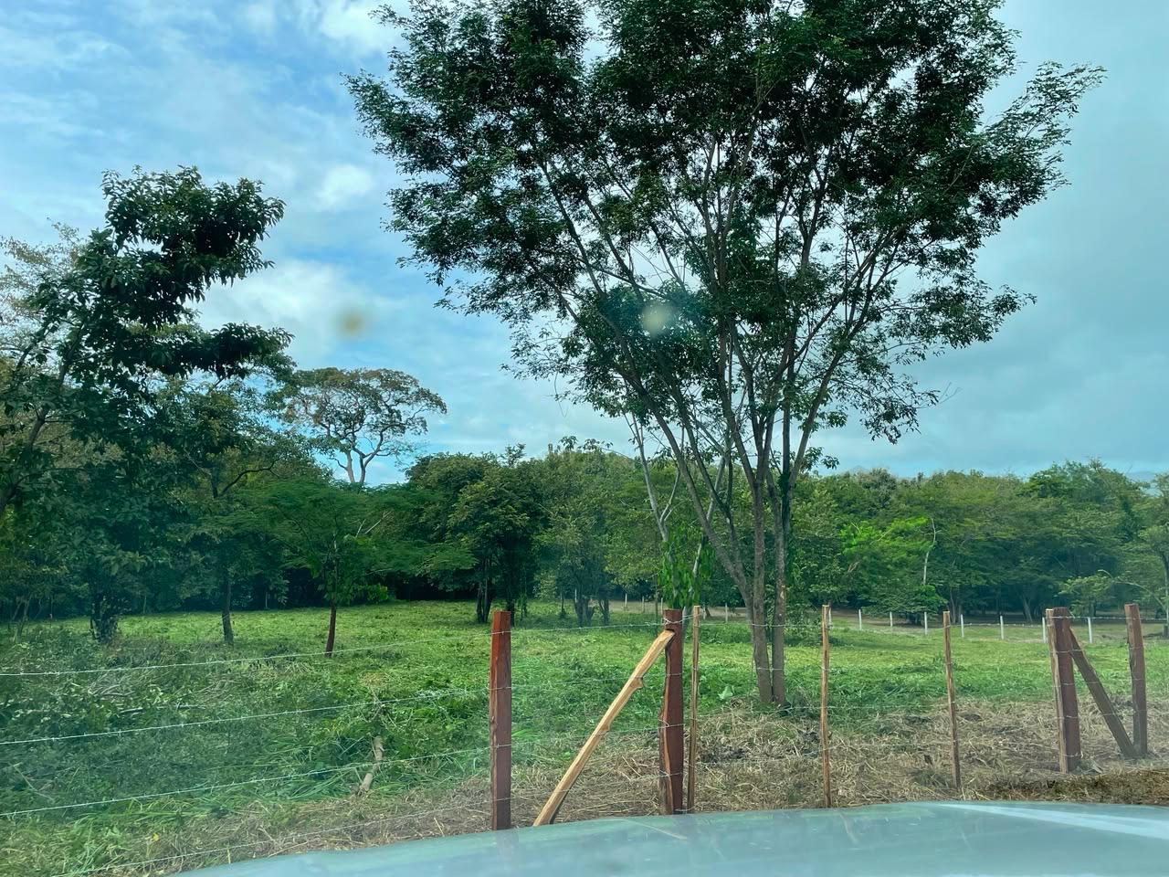0 bed Land For Sale in Tamarindo, Guanacaste - thumb 2