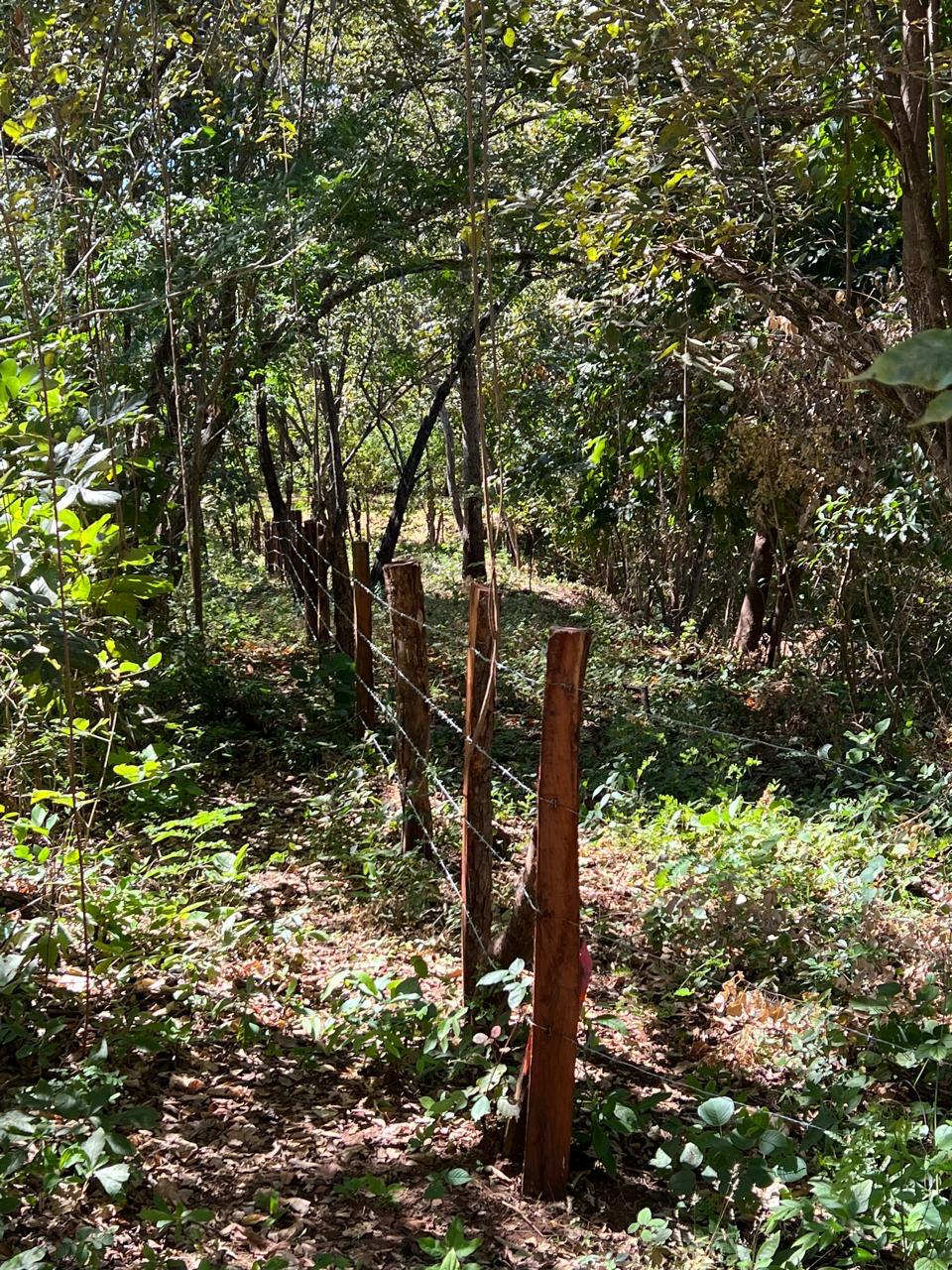 0 bed Land For Sale in Tamarindo, Guanacaste - thumb 7