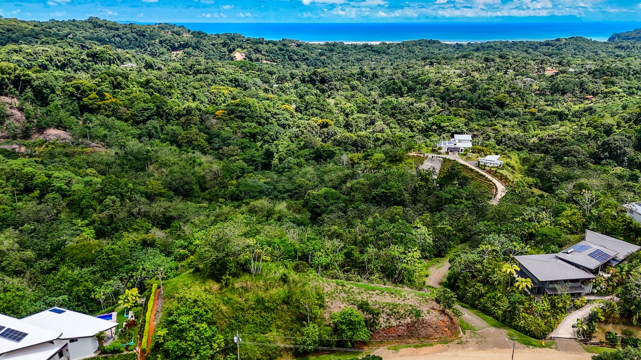 0 bed Land For Sale in Ojochal, Puntarenas - thumb 6