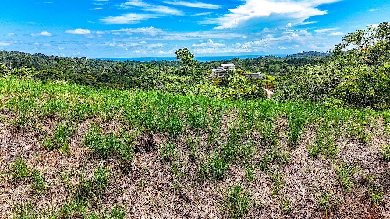 0 bed Land For Sale in Ojochal, Puntarenas - thumb 8