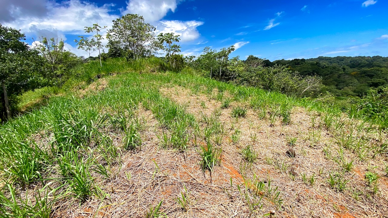 0 bed Land For Sale in Ojochal, Puntarenas - thumb 14