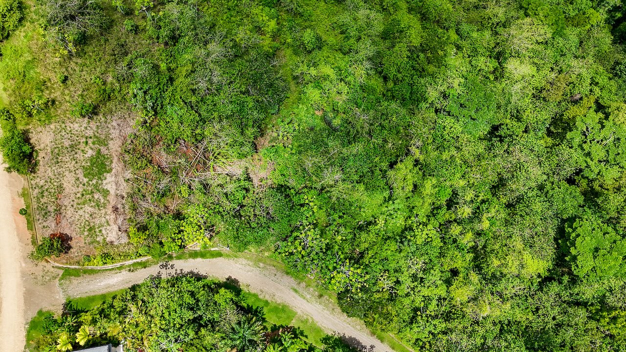 0 bed Land For Sale in Ojochal, Puntarenas - thumb 17