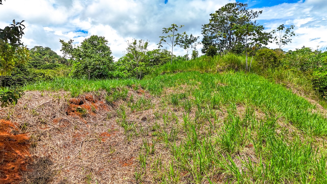0 bed Land For Sale in Ojochal, Puntarenas - thumb 19