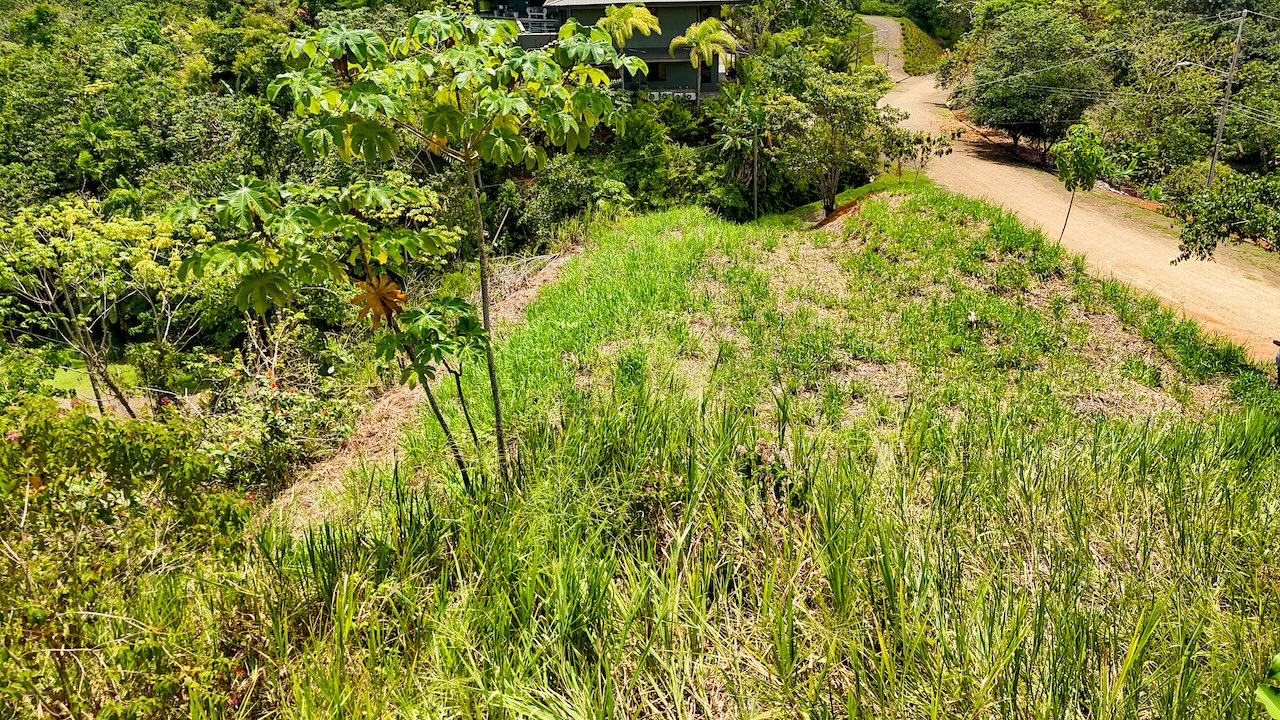 0 bed Land For Sale in Ojochal, Puntarenas - thumb 21