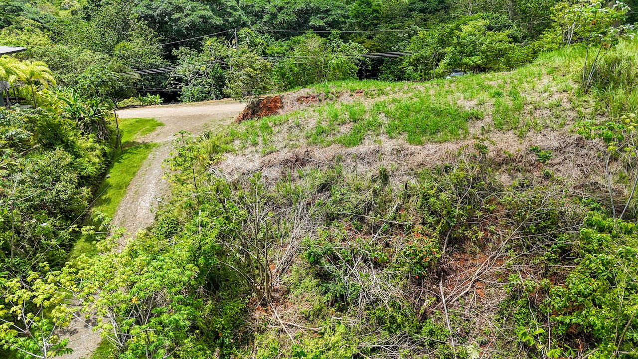 0 bed Land For Sale in Ojochal, Puntarenas - thumb 12