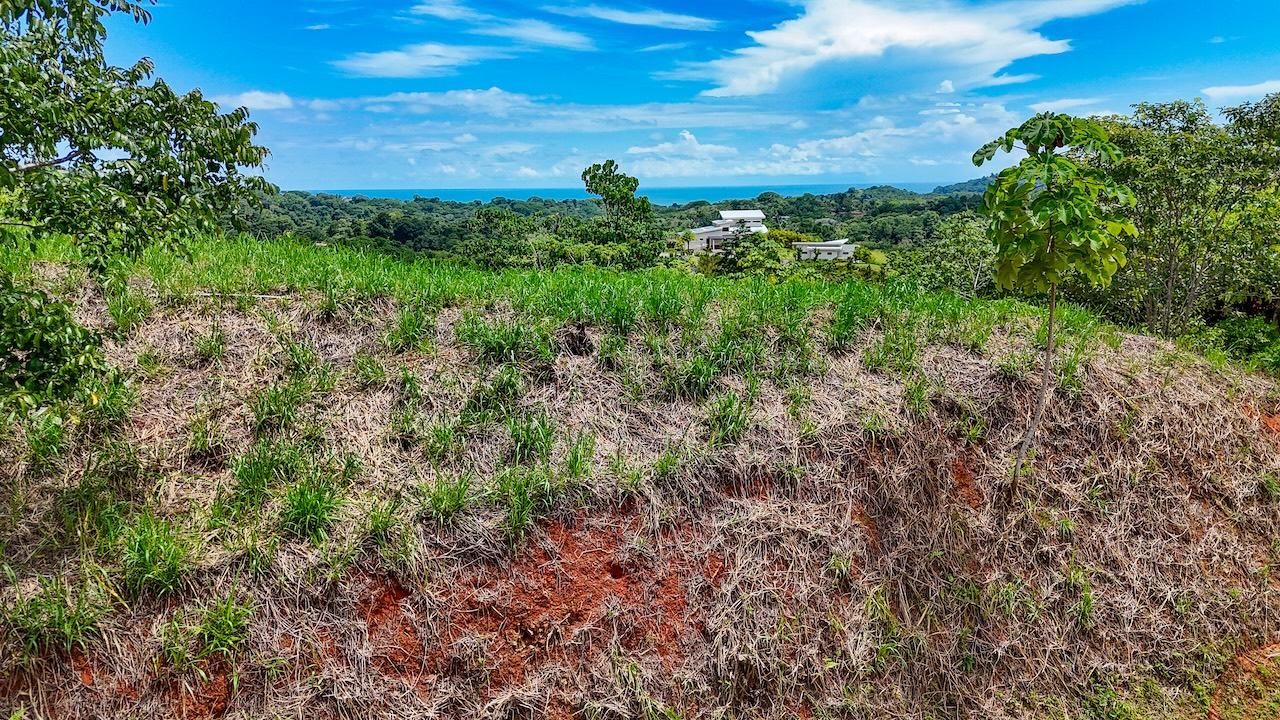 0 bed Land For Sale in Ojochal, Puntarenas - thumb 1