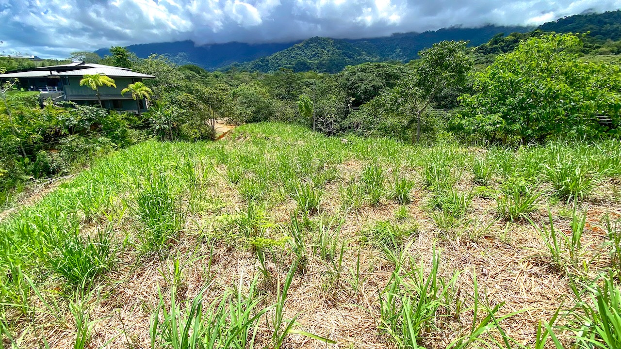 0 bed Land For Sale in Ojochal, Puntarenas - thumb 13