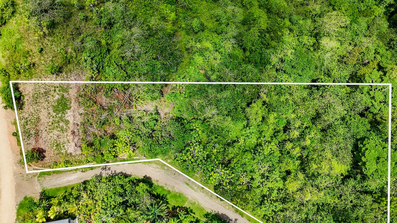 0 bed Land For Sale in Ojochal, Puntarenas - thumb 16