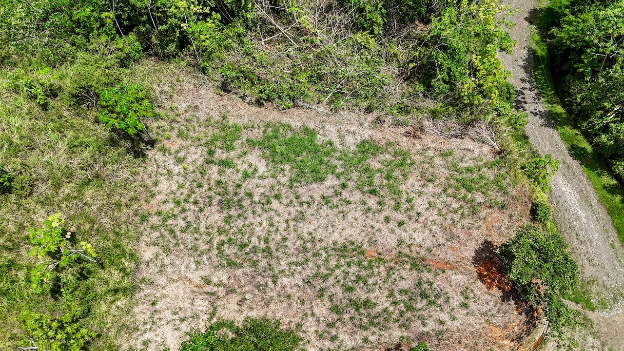 0 bed Land For Sale in Ojochal, Puntarenas - thumb 15