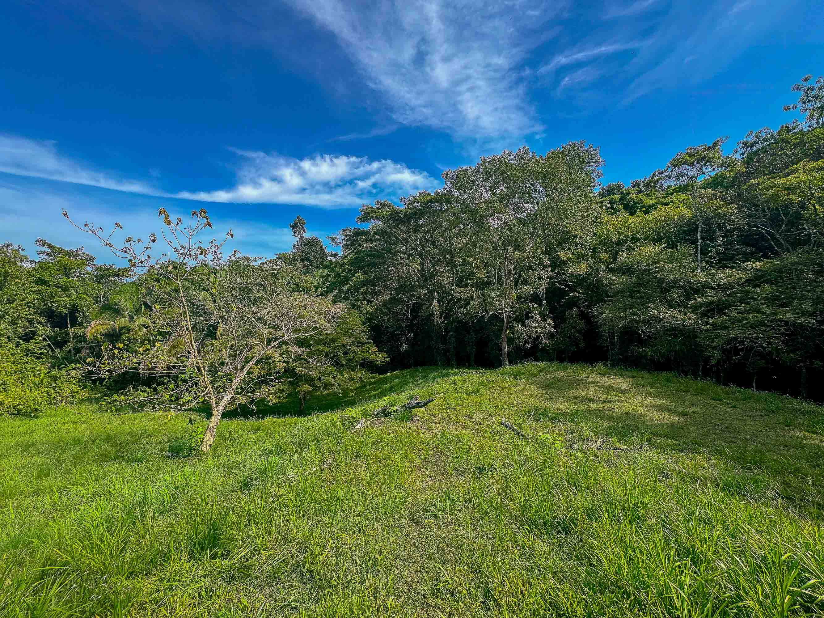 0 bed Land For Sale in Quepos, Puntarenas - thumb 17