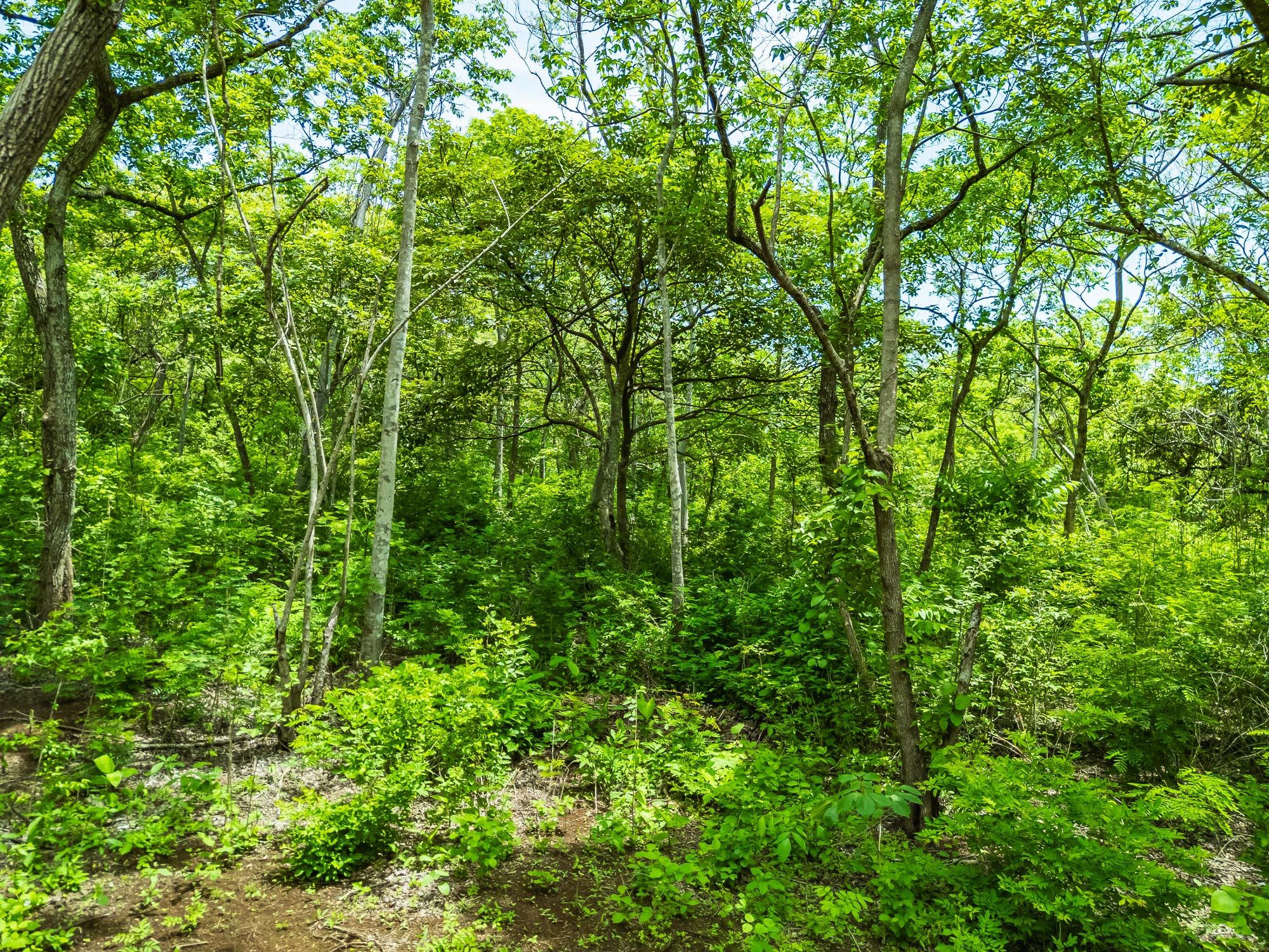 0 bed Land For Sale in Playa Negra, Guanacaste - thumb 9