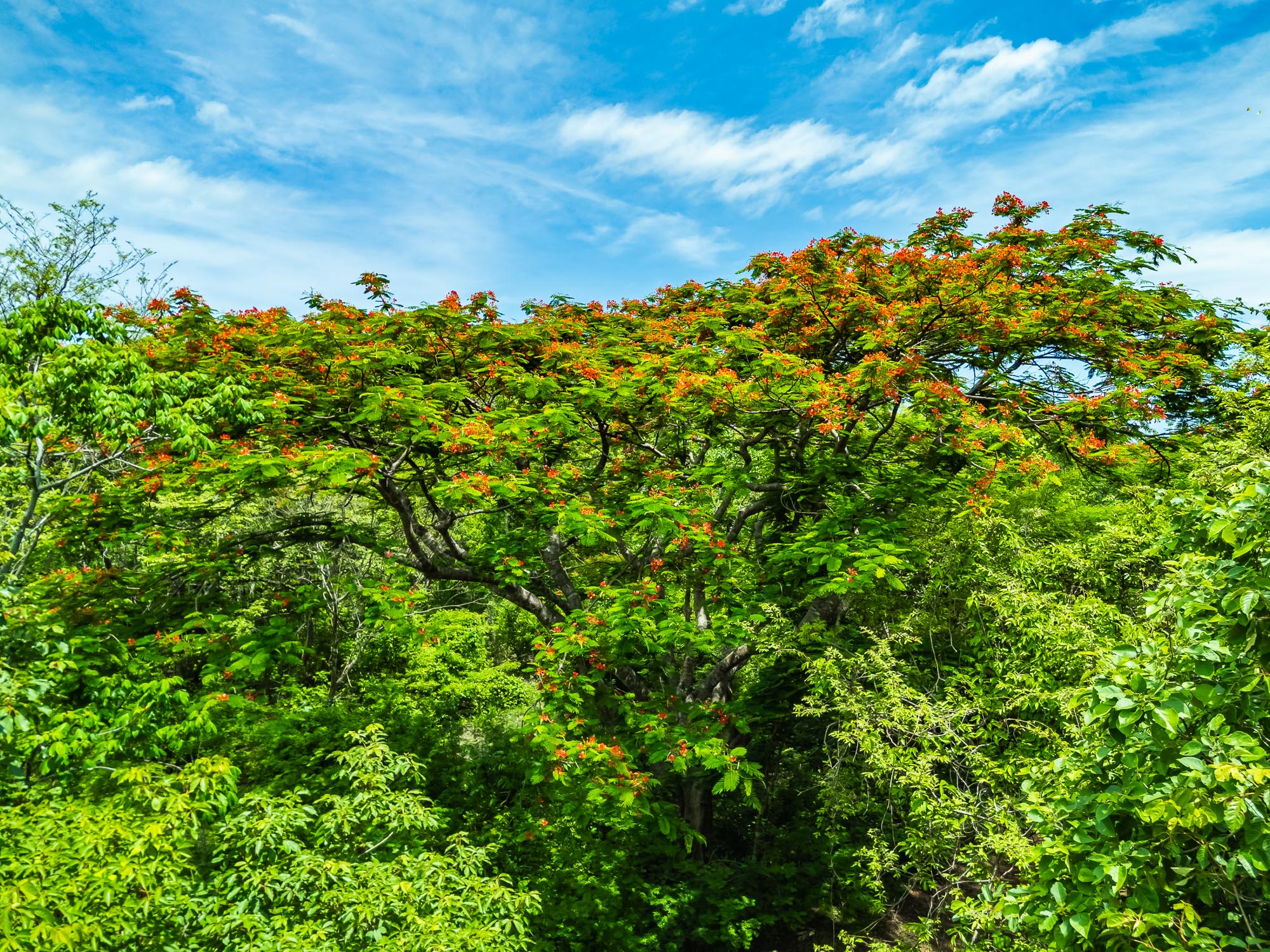 0 bed Land For Sale in Playa Negra, Guanacaste - thumb 7