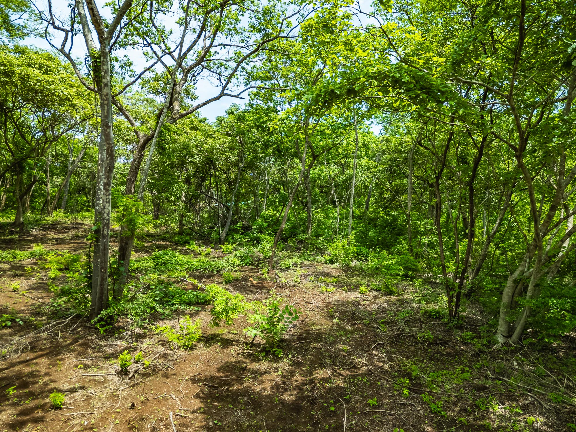 0 bed Land For Sale in Playa Negra, Guanacaste - thumb 8